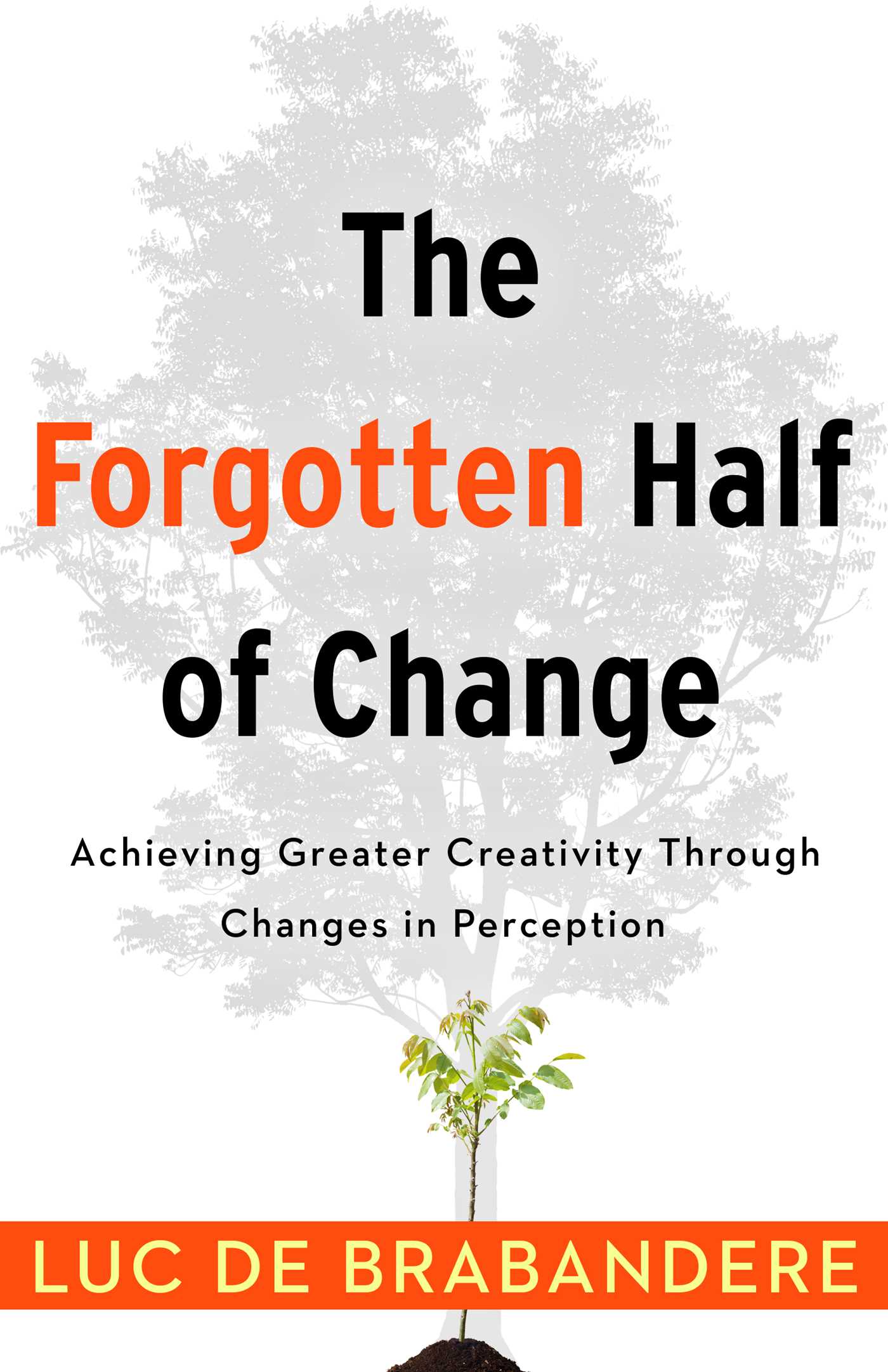 Forgotten Half of Change: Achieving Greater Creativity Through Changes in Perceptions