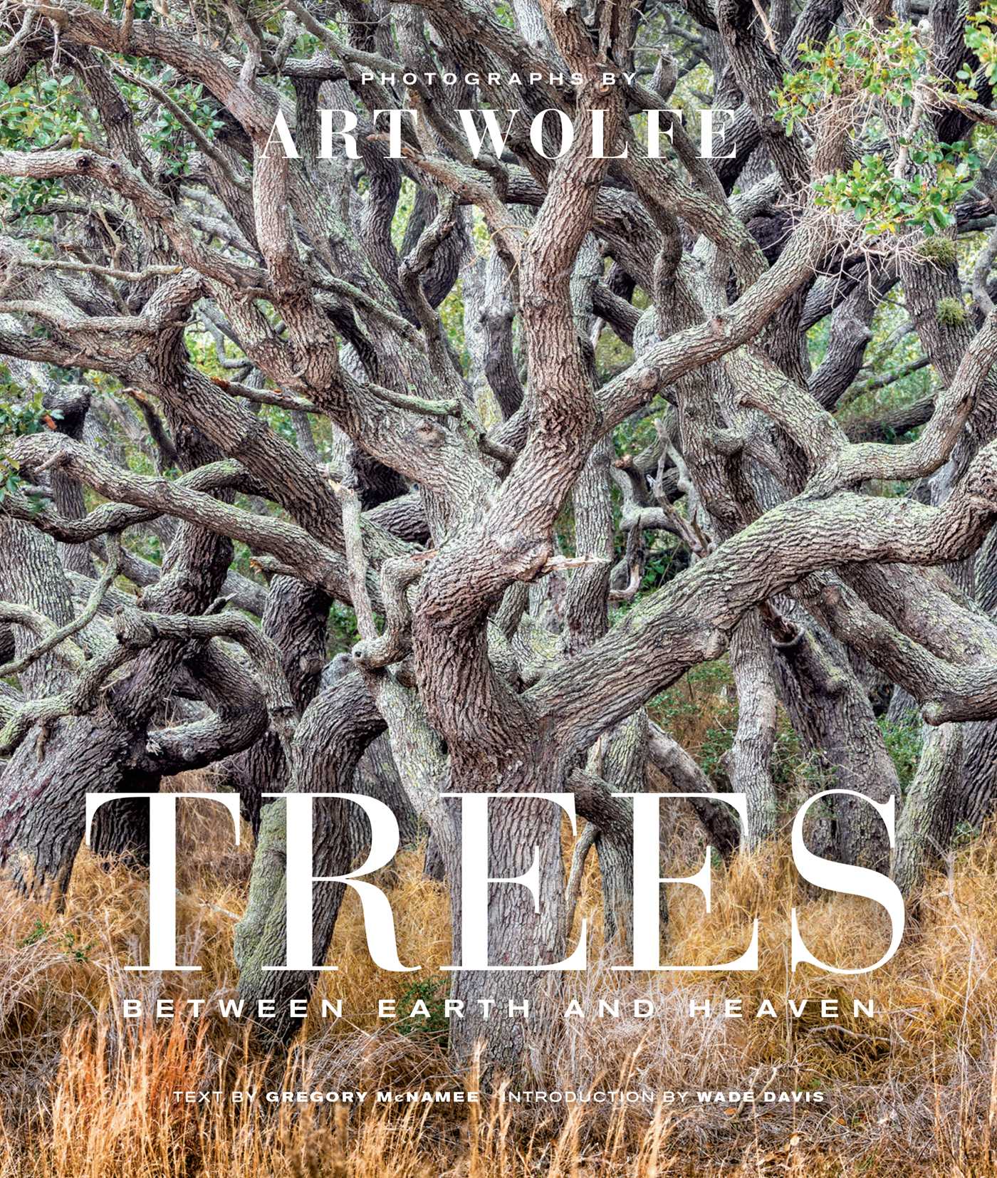 Trees (Gift Edition)