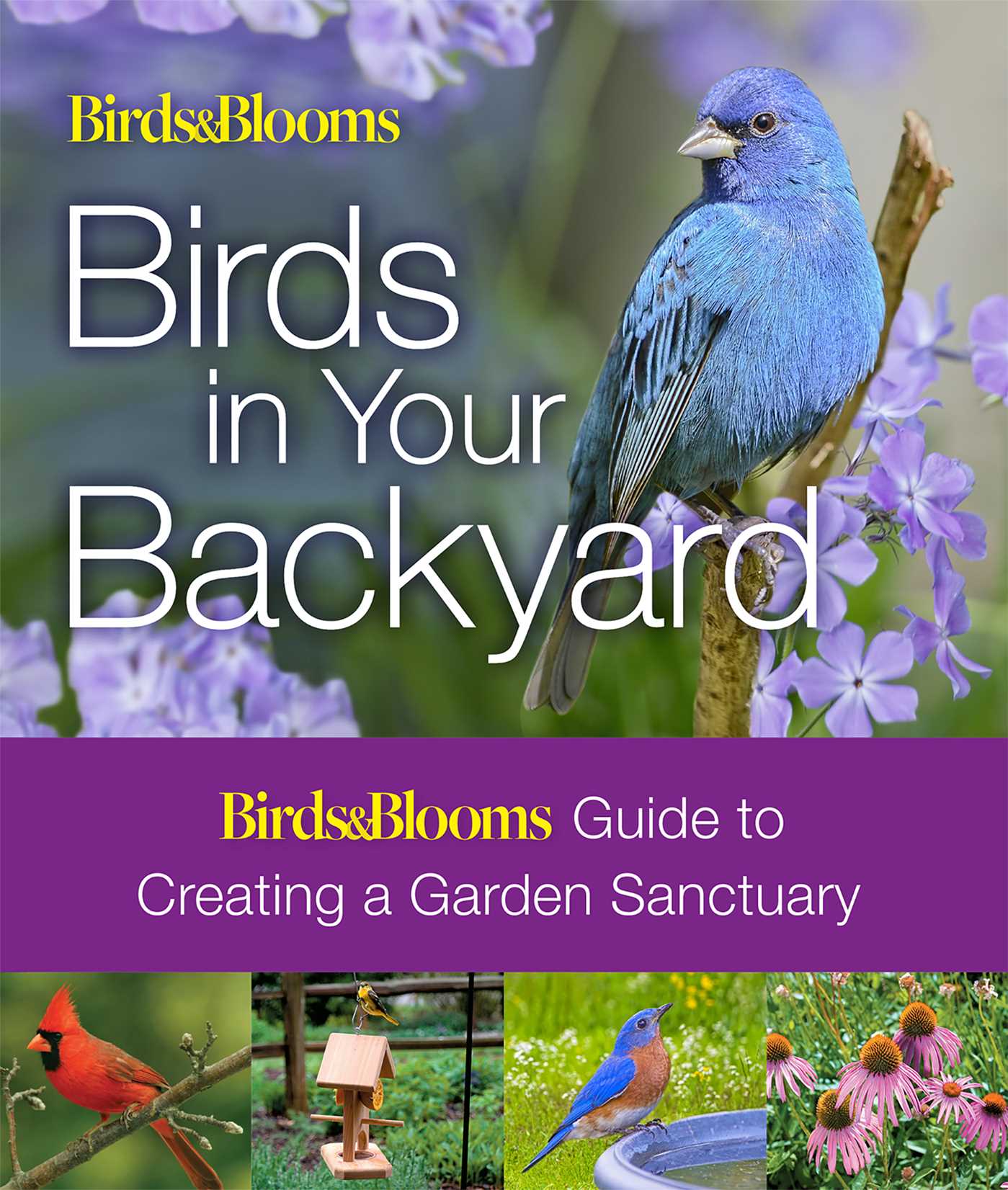 Birds & Blooms: Birds in Your Backyard
