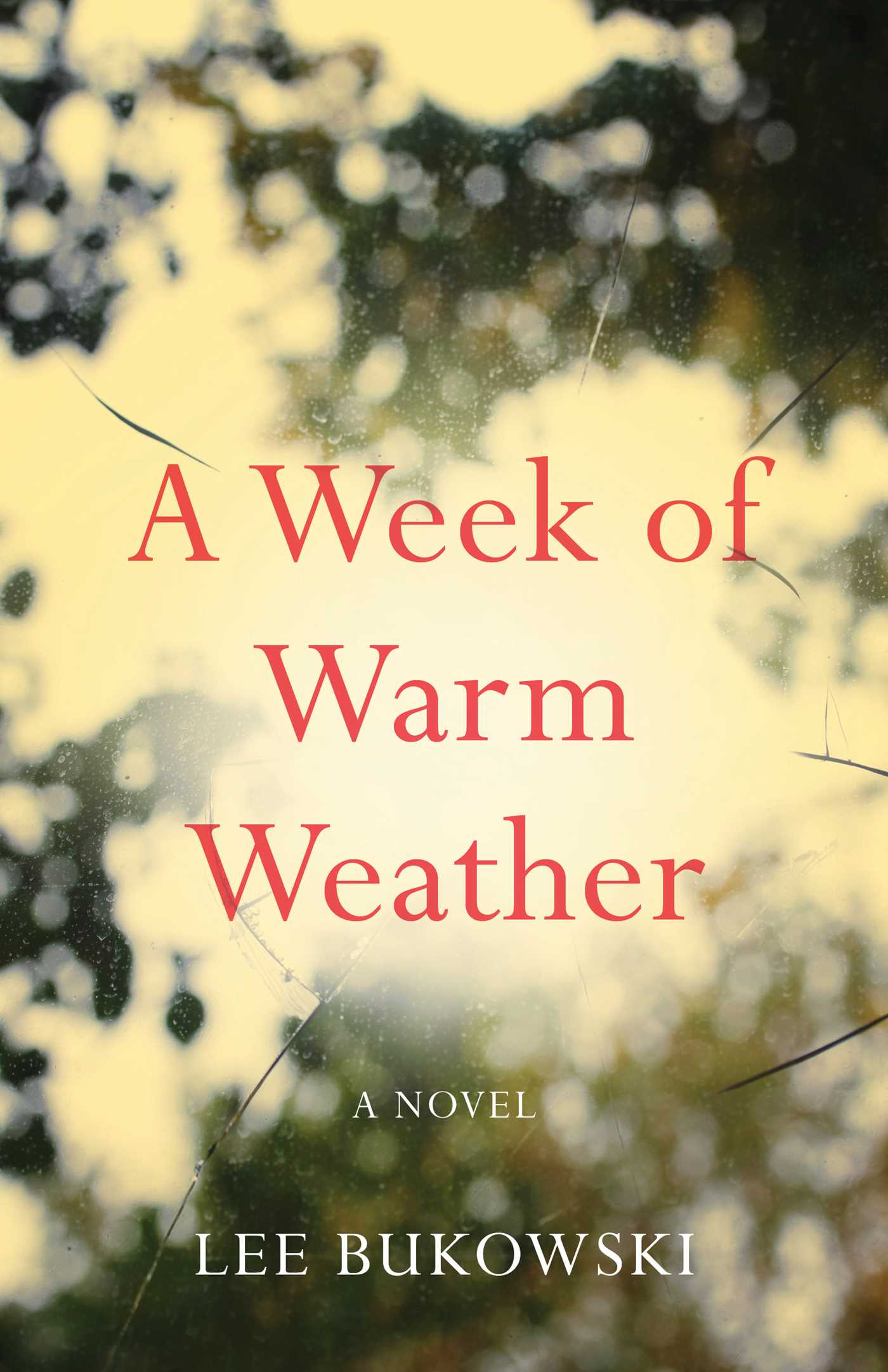 Week of Warm Weather: A Novel
