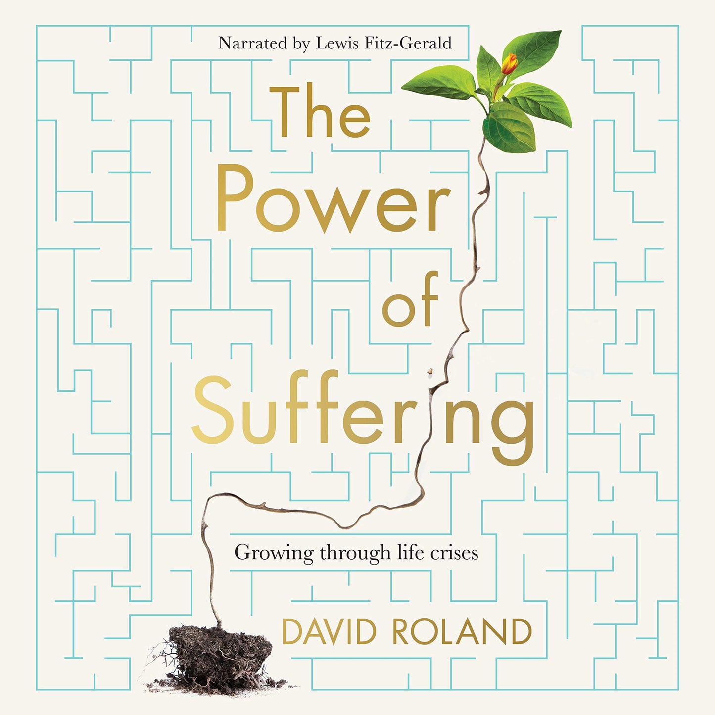 Power Of Suffering: Growing through life crises