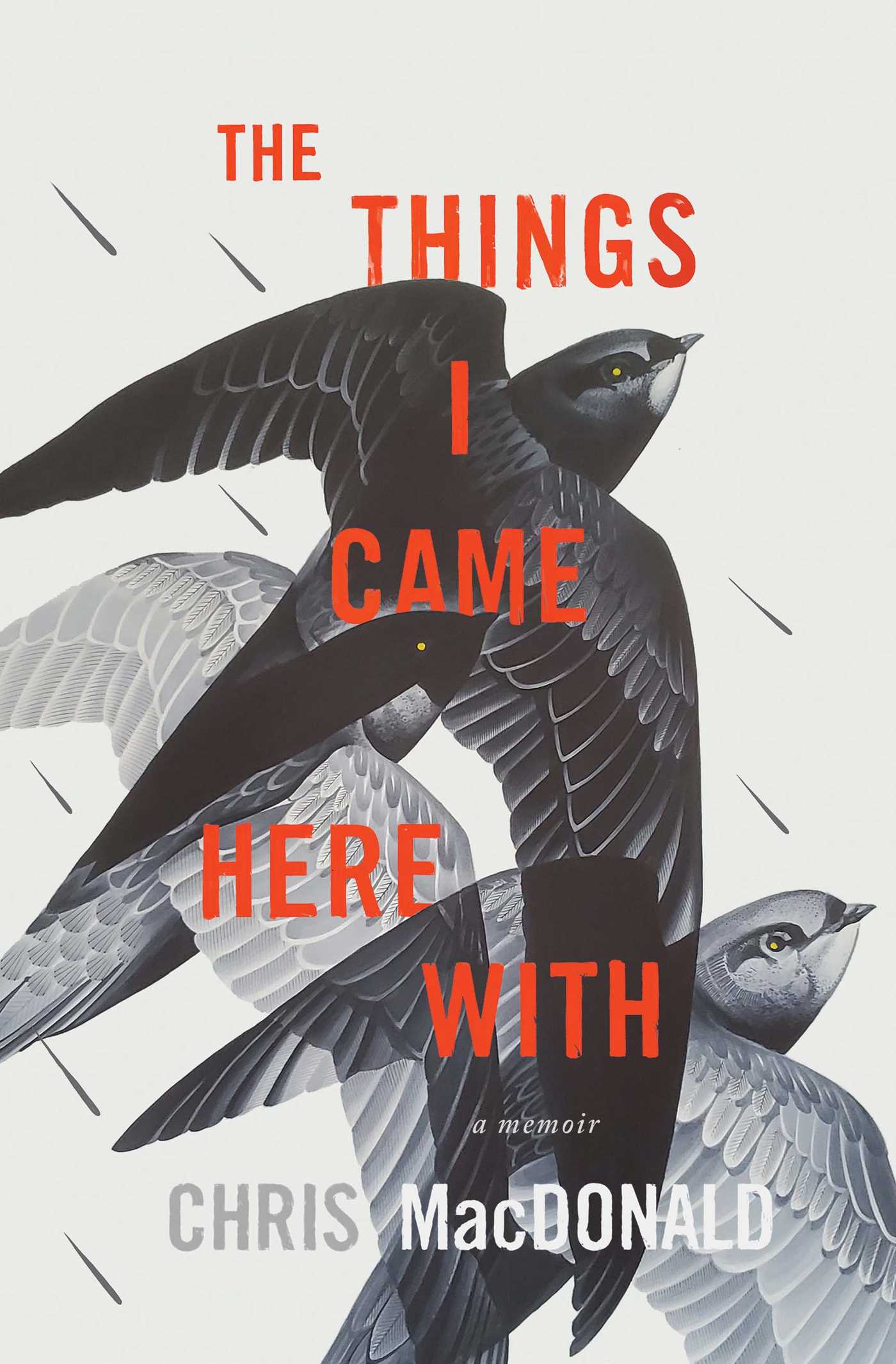 Things I Came Here With: A Memoir
