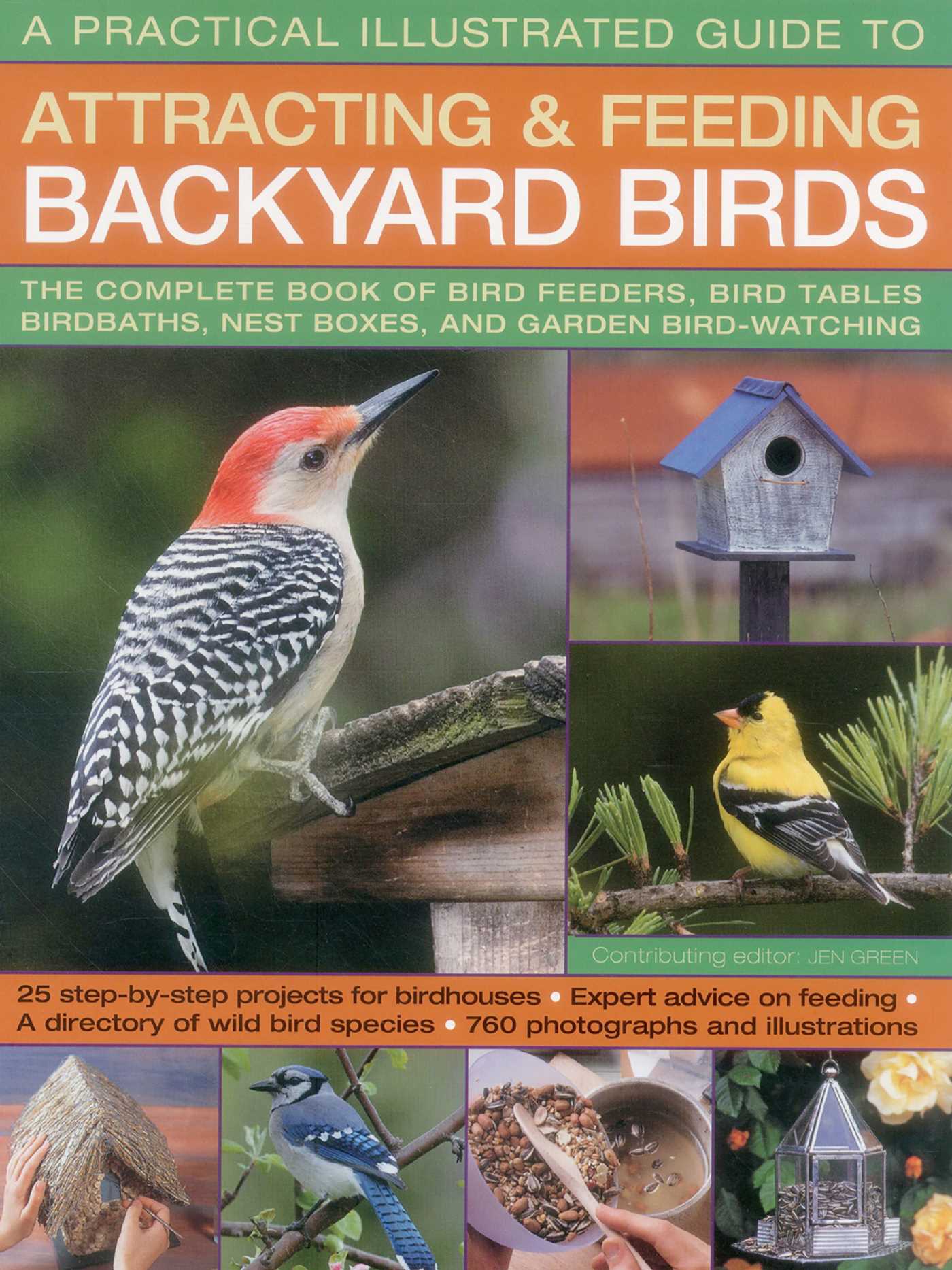 Practical Illustrated Guide to Attracting and Feeding Backyard Birds: The Complete Book Of Bird Feeders, Bird Tables, Birdbaths, Nest Boxes, And Garden Bird-Watching