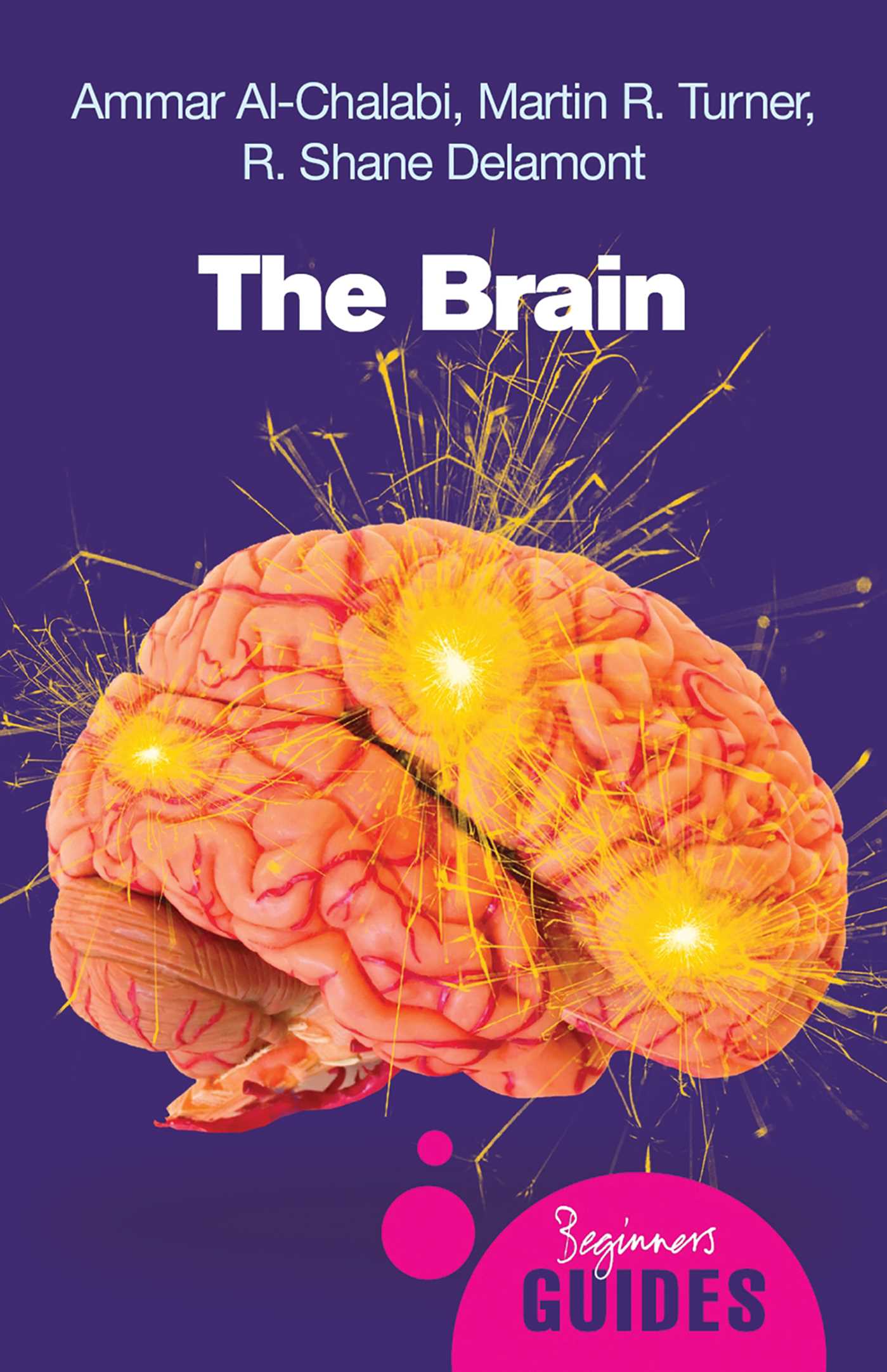 Brain: A Beginner's Guide