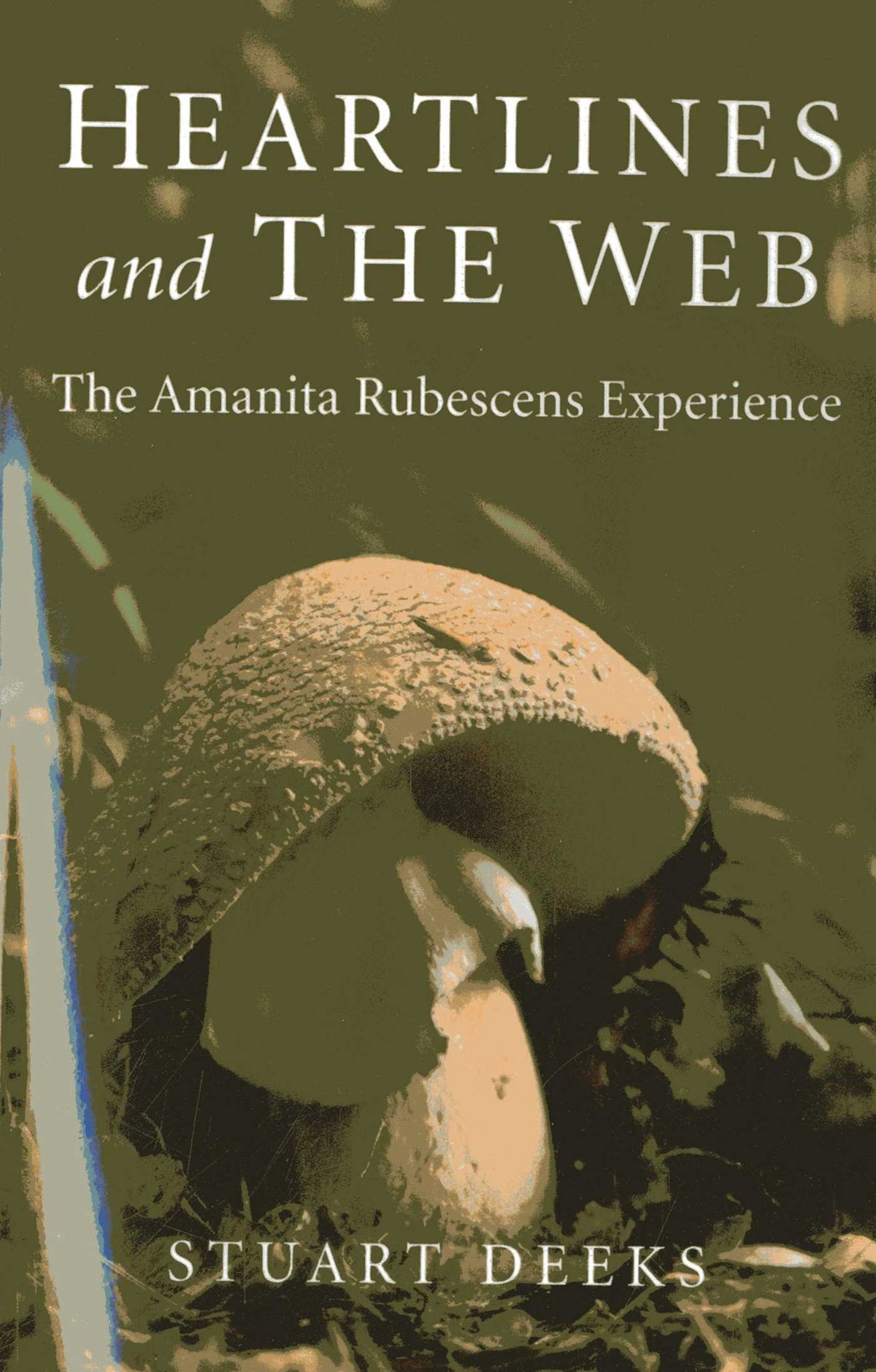Heartlines and The Web