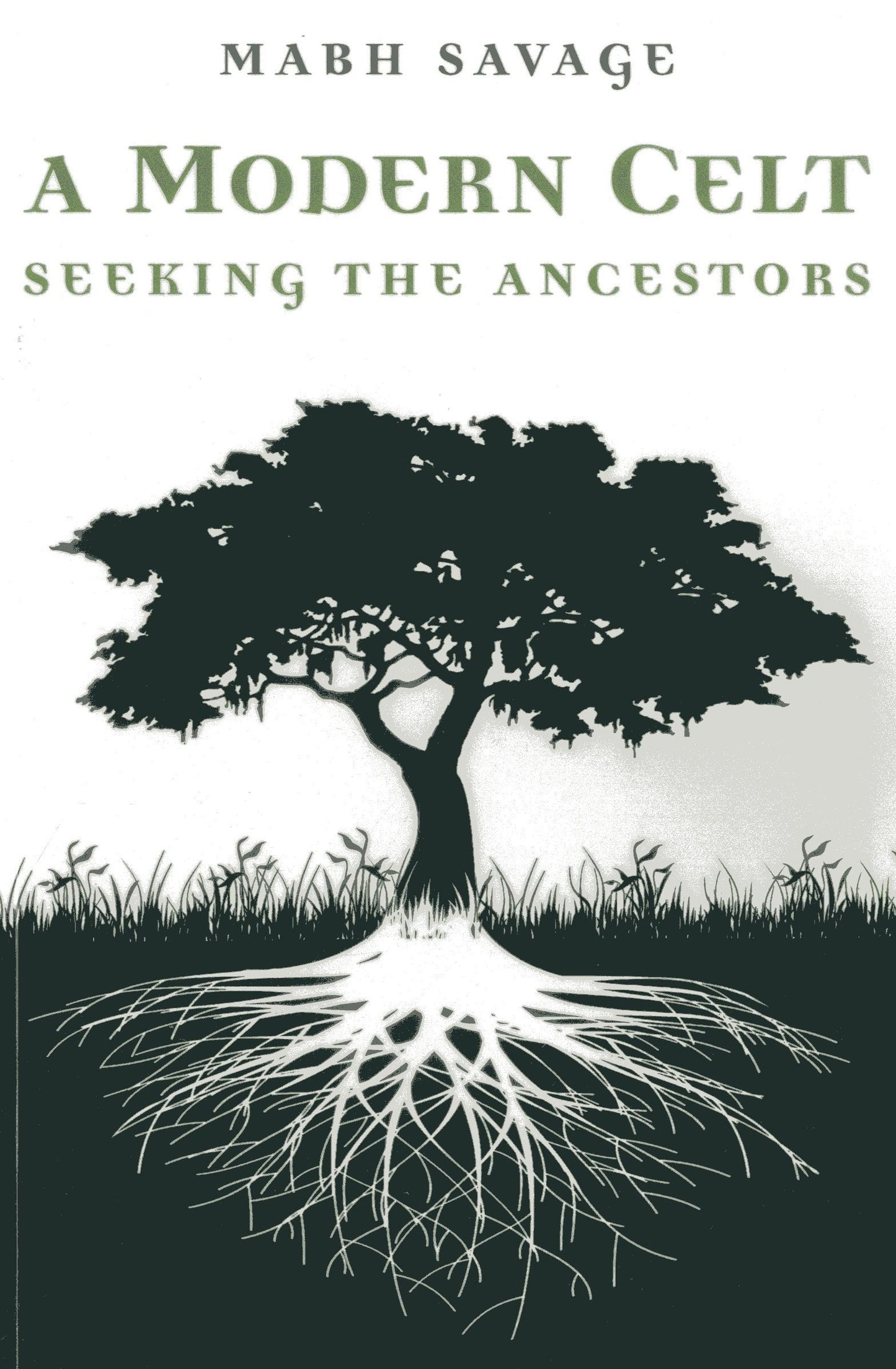Modern Celt: Seeking the Ancestors