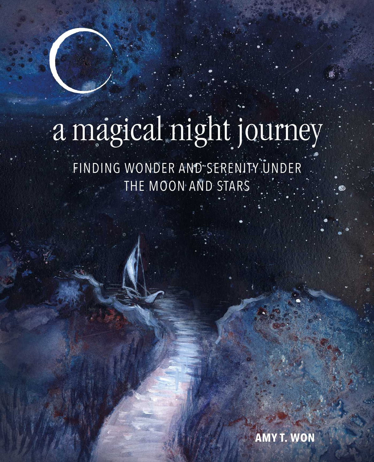 Magical Night Journey: Finding wonder and serenity under the moon and stars
