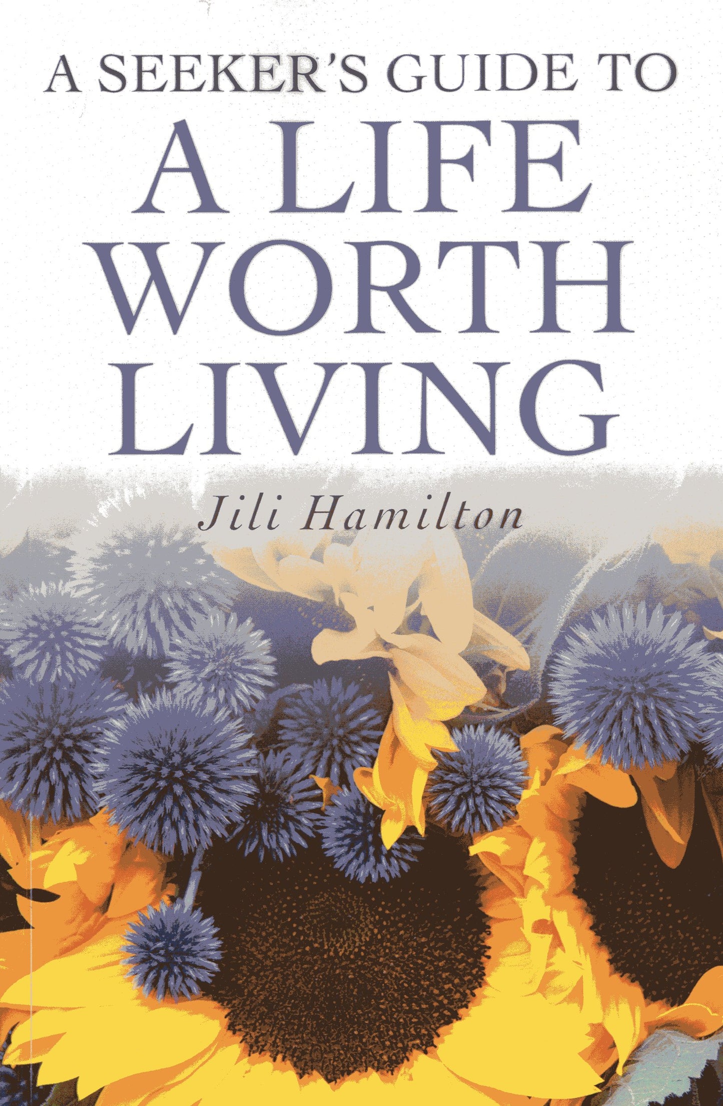Seeker's Guide to a Life Worth Living