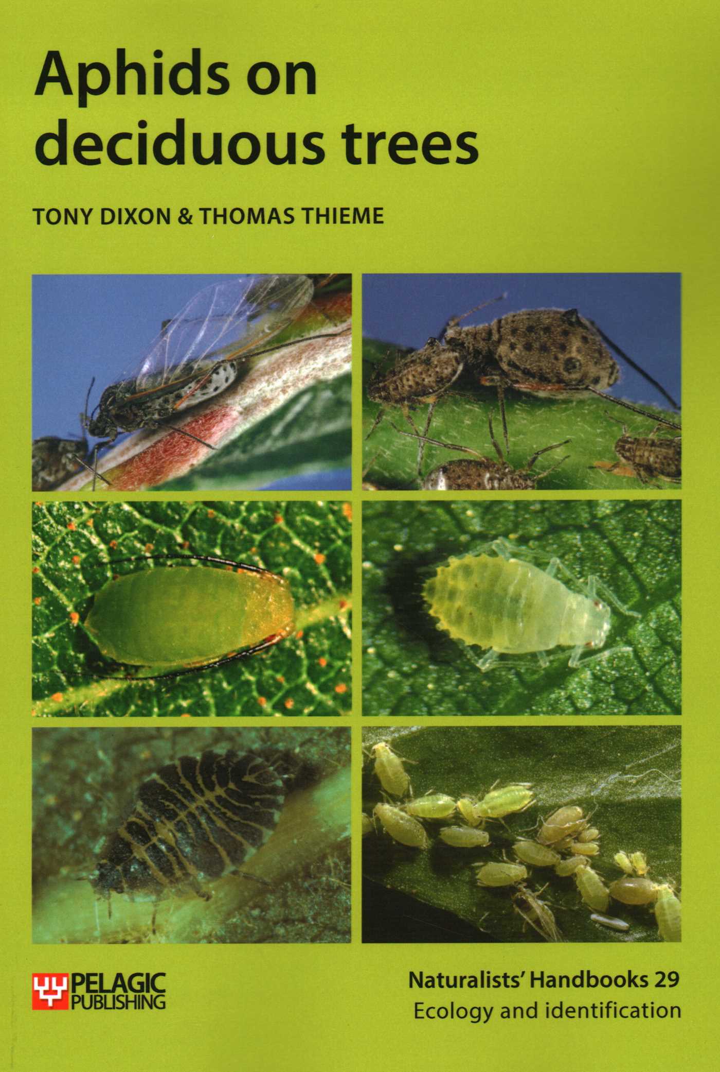 Aphids on Deciduous Trees
