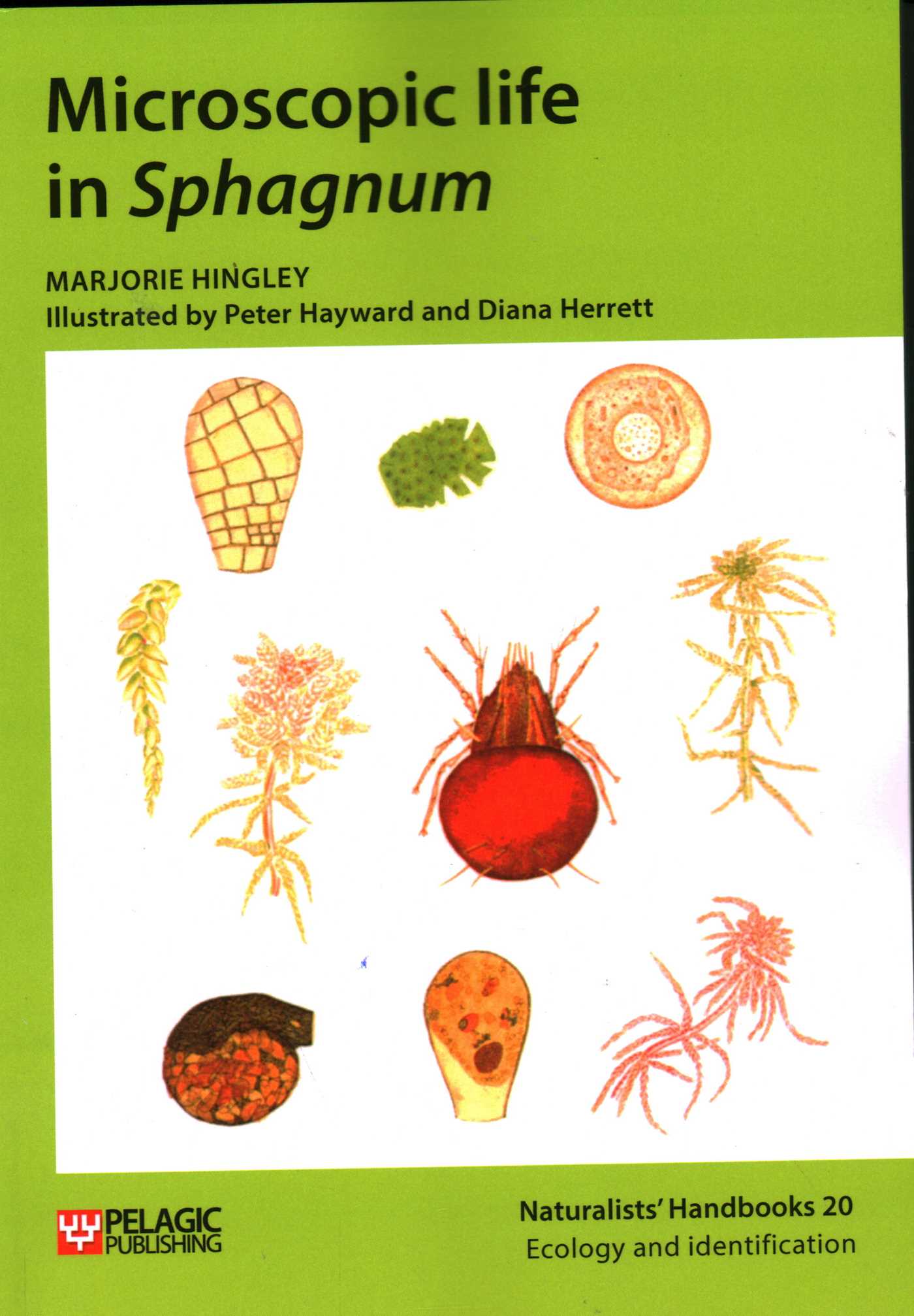 Microscopic Life in Sphagnum