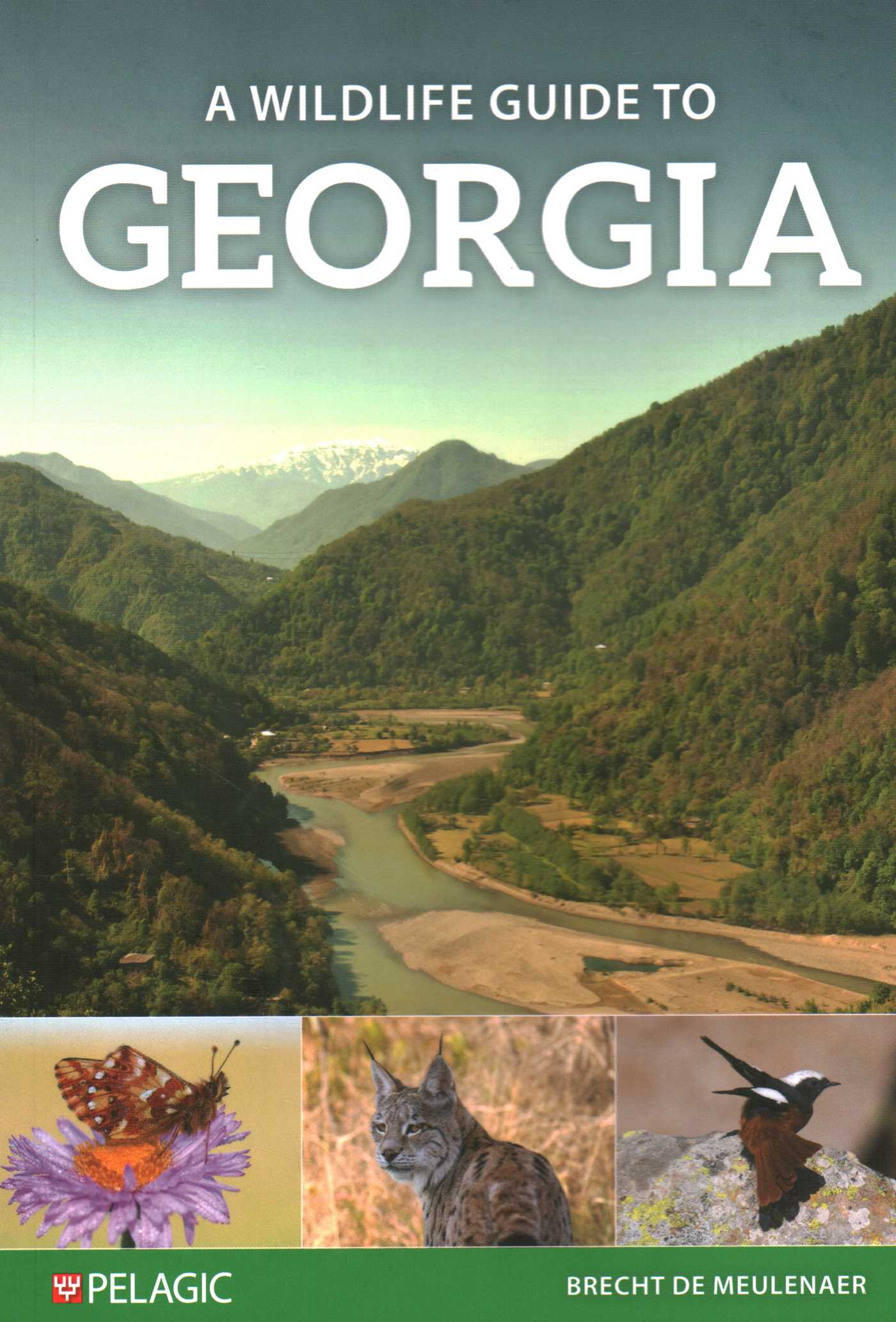 Wildlife Guide to Georgia