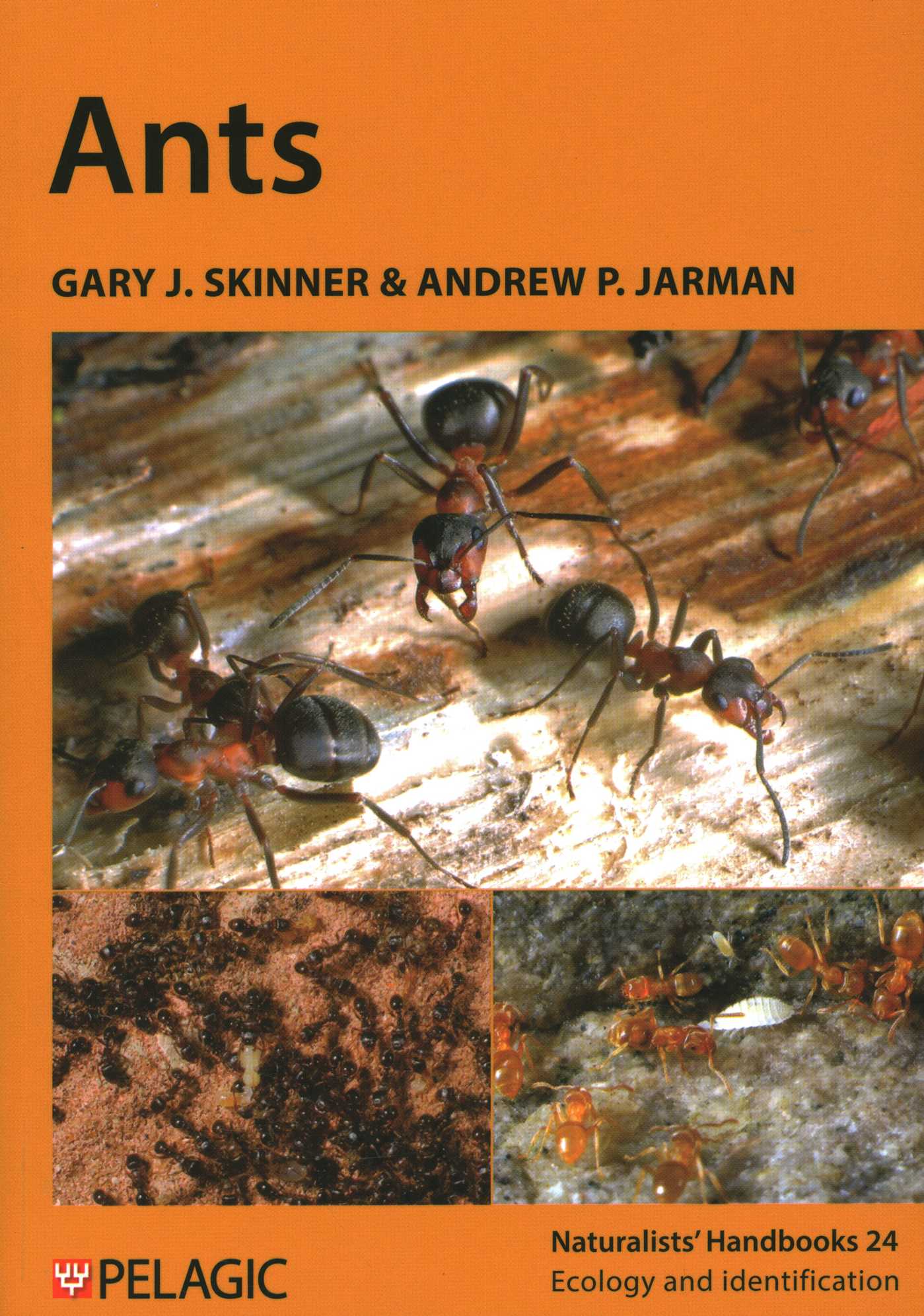 Ants