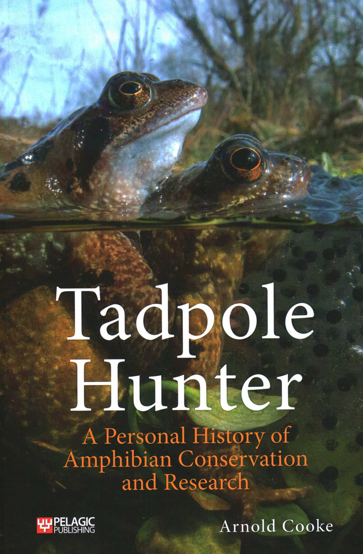 Tadpole Hunter