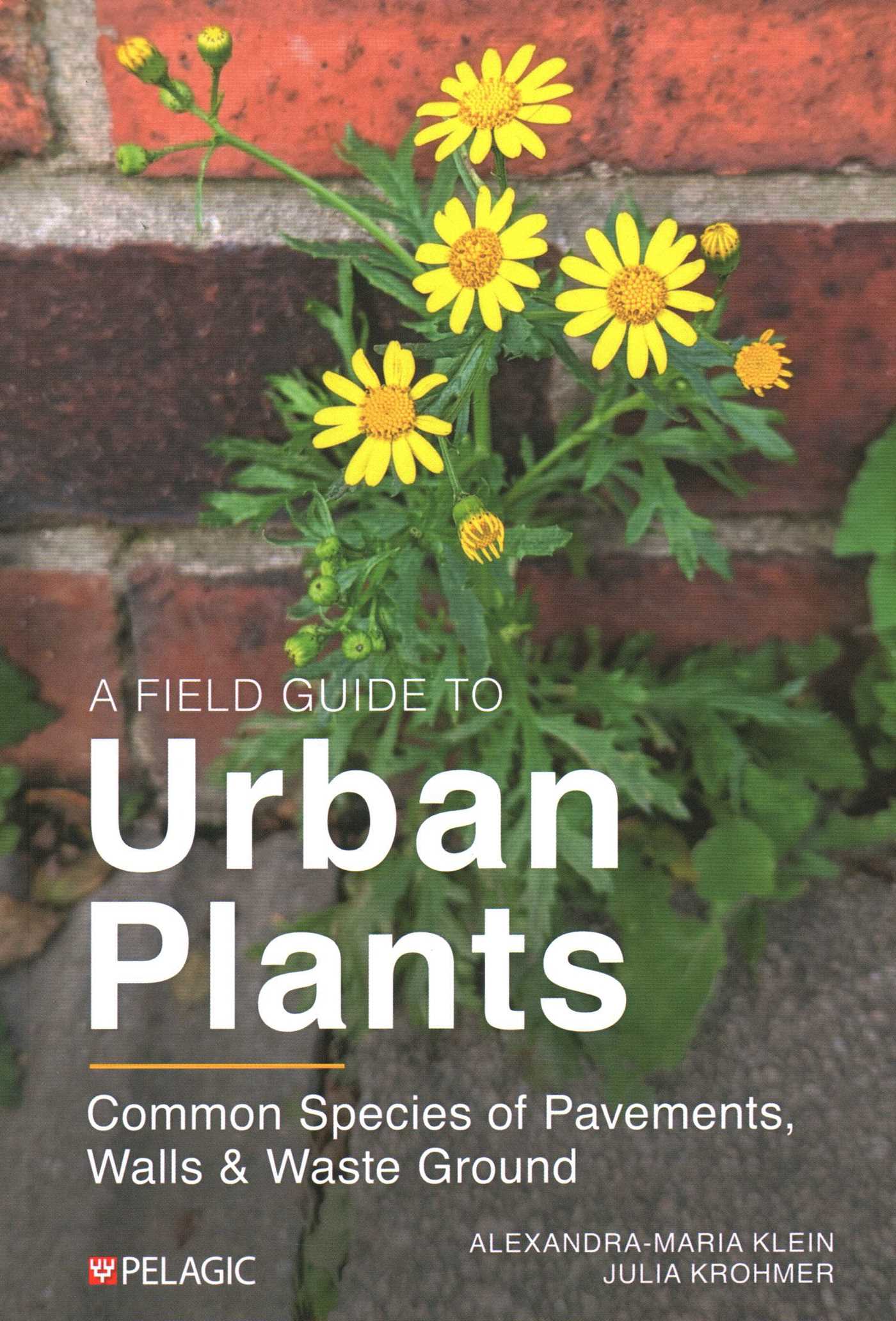 Field Guide to Urban Plants