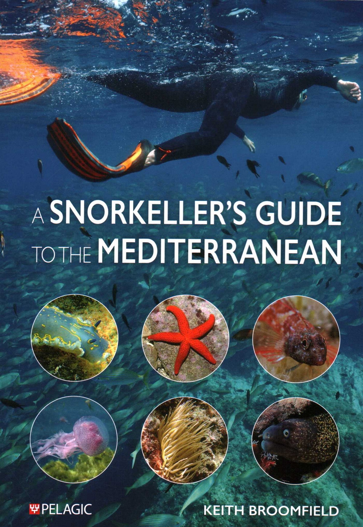 Snorkeller's Guide to the Mediterranean