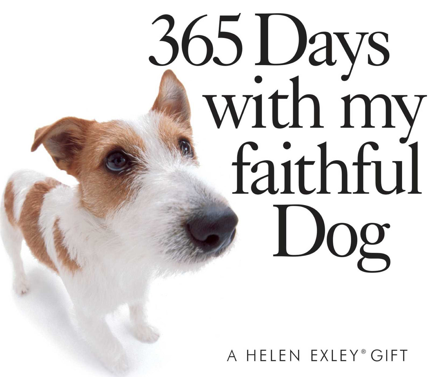 365 Days With My Faithful Dog