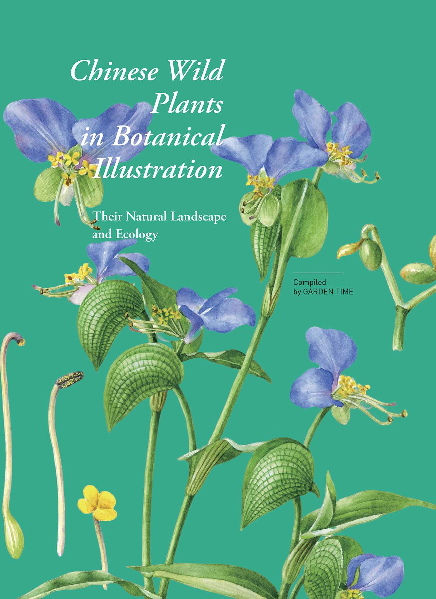 Chinese Wild Plants in Botanical Illustration 1