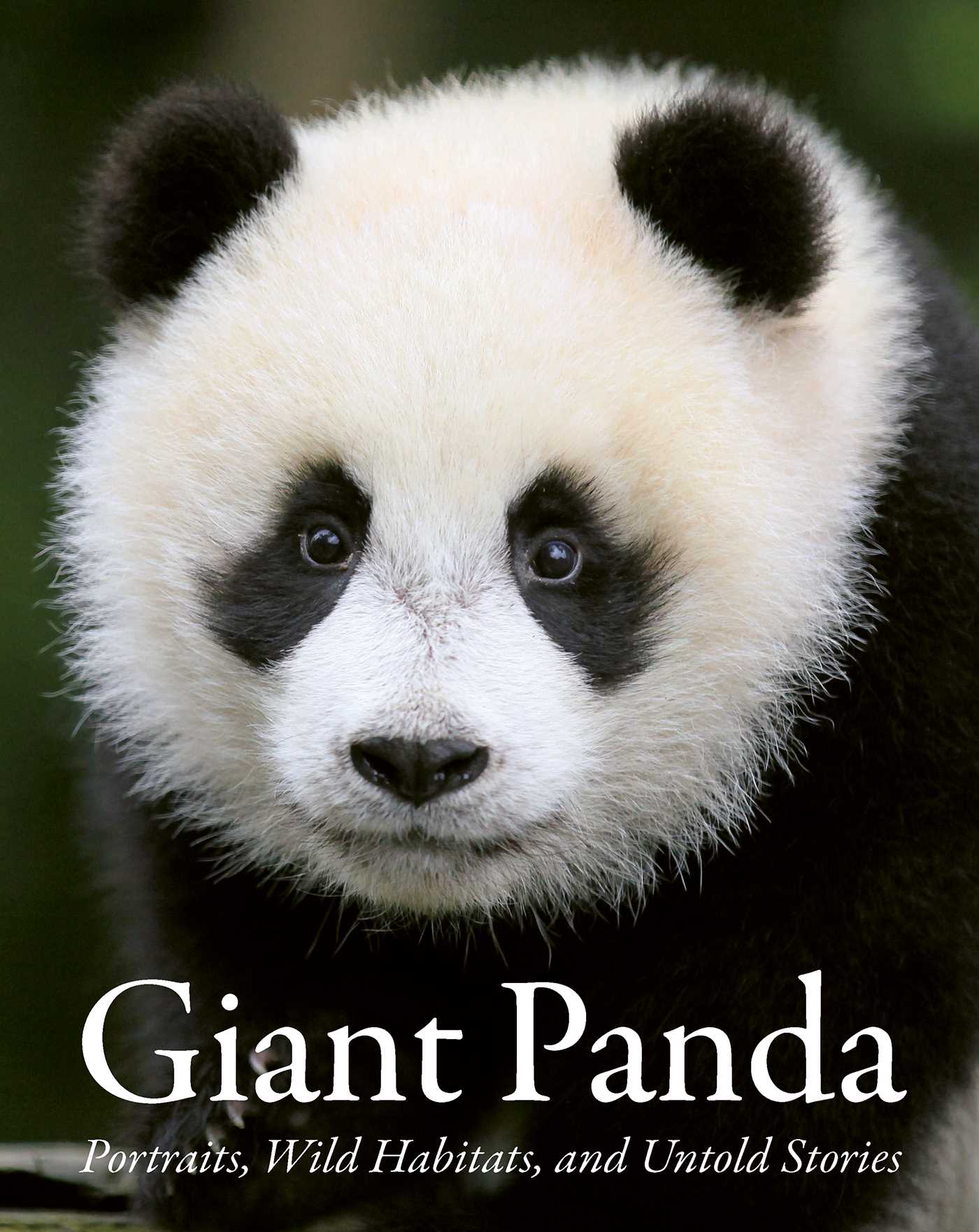 Giant Panda