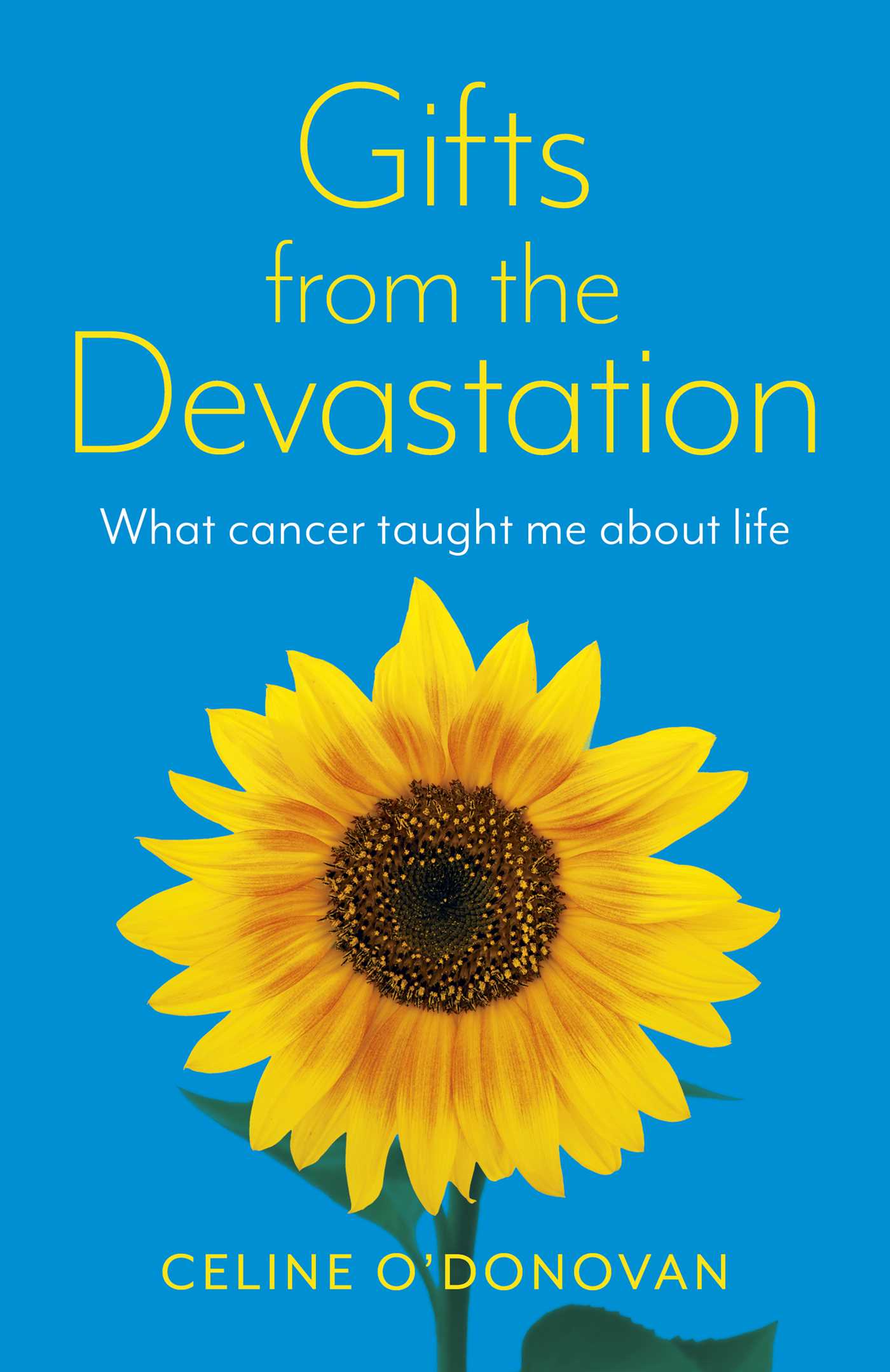 Gifts from the Devastation