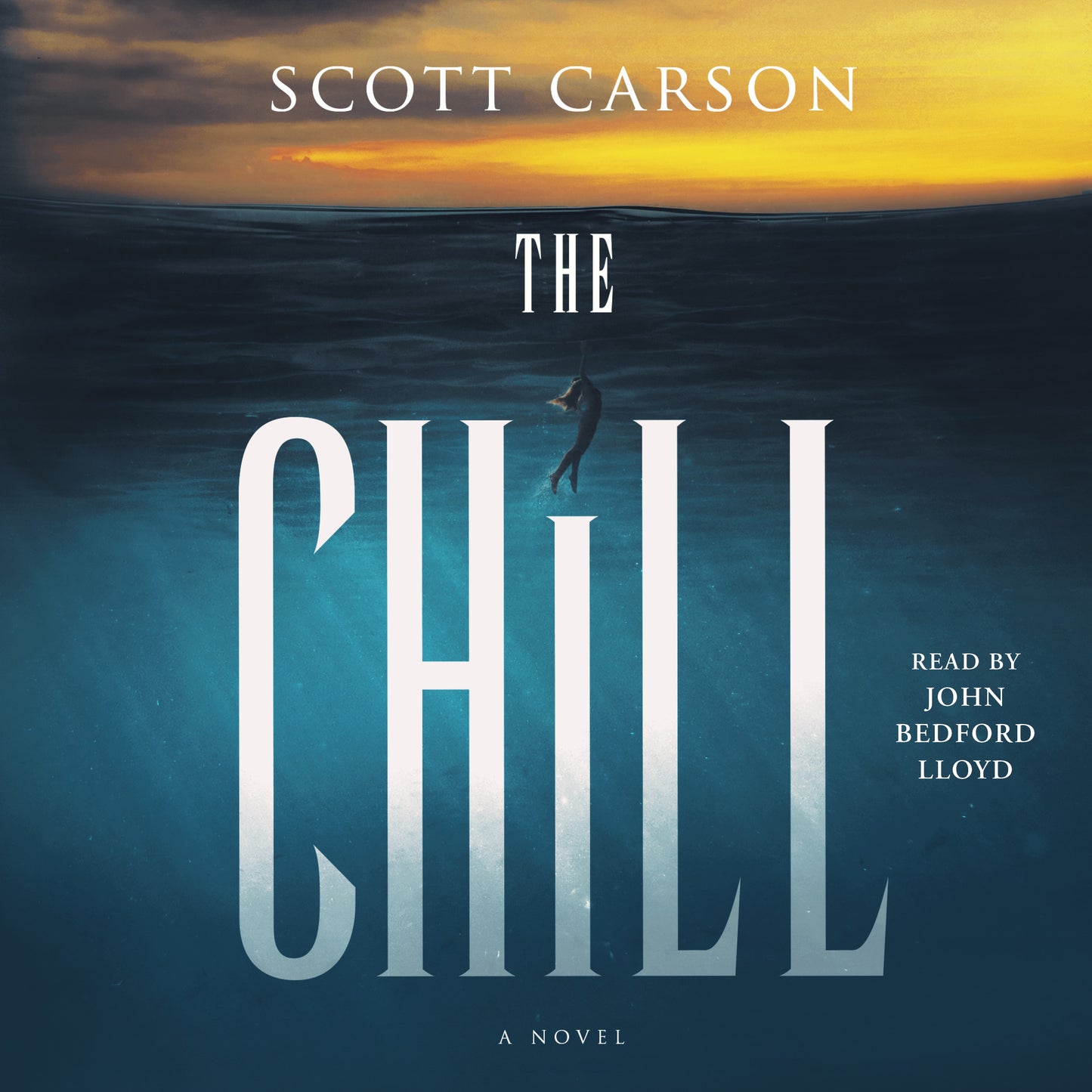 Chill: A Novel
