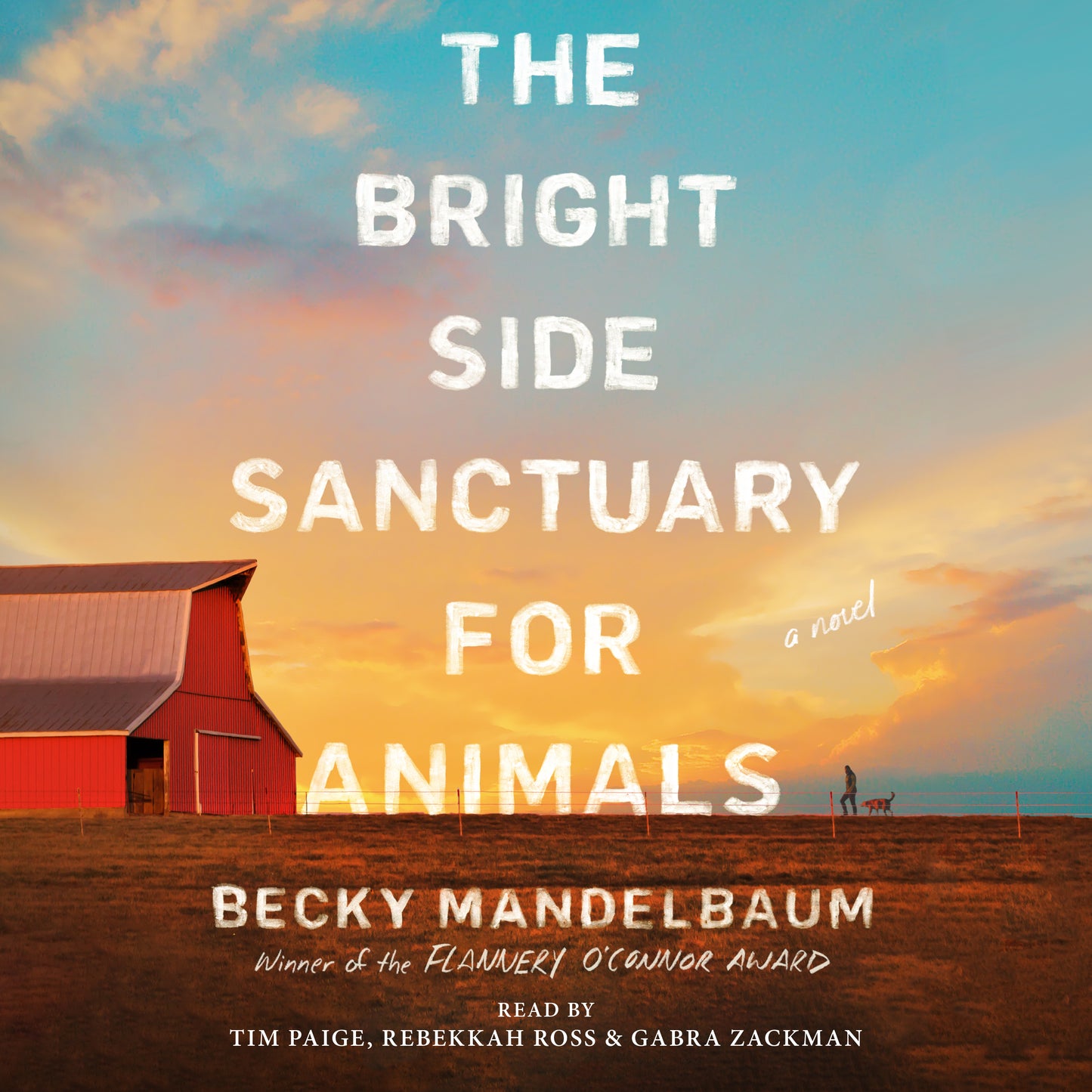 Bright Side Sanctuary for Animals: A Novel