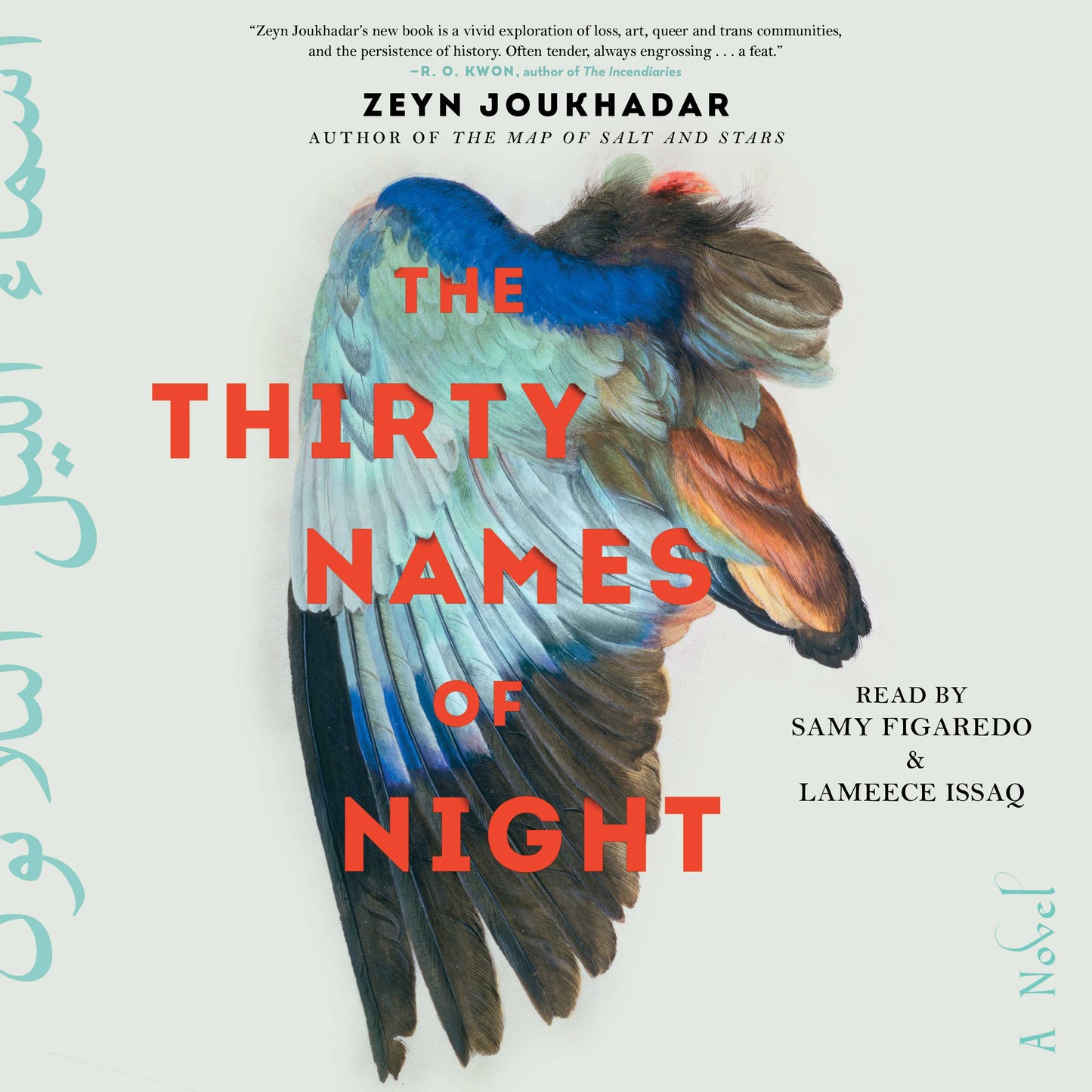 Thirty Names of Night: A Novel