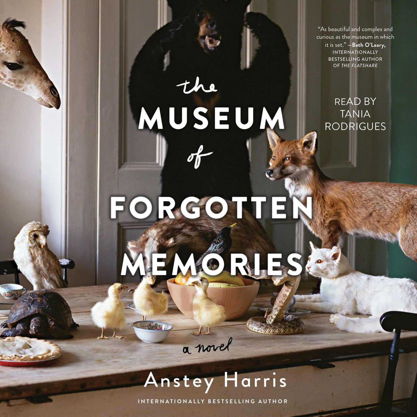 Museum of Forgotten Memories