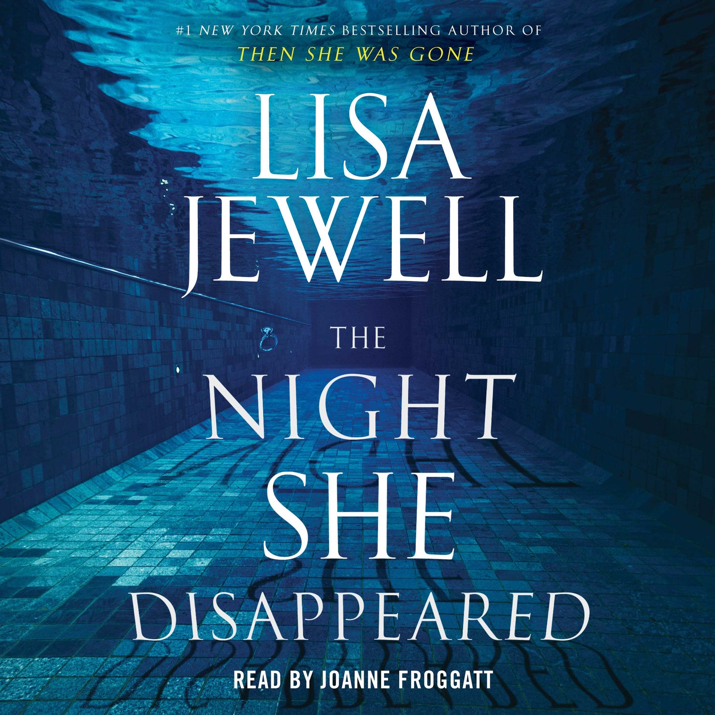 Night She Disappeared: A Novel