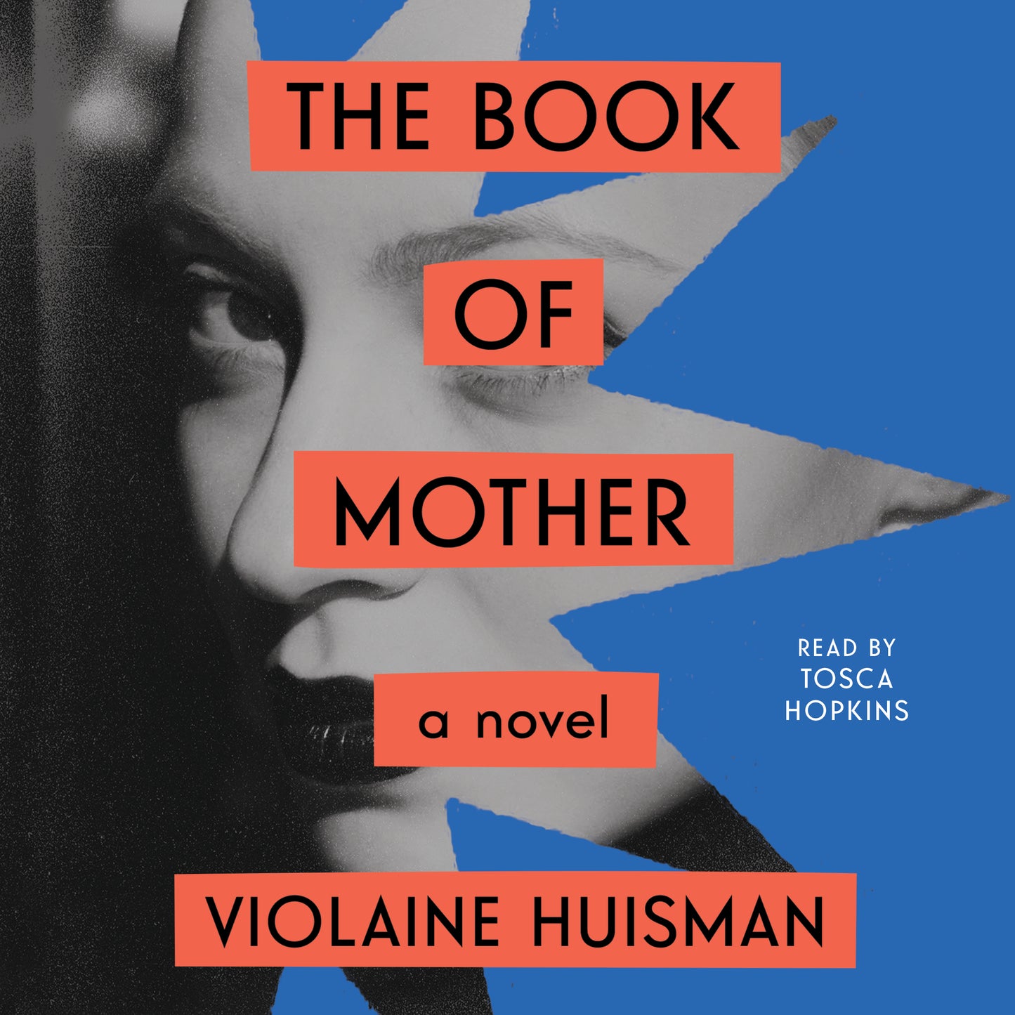Book of Mother: A Novel