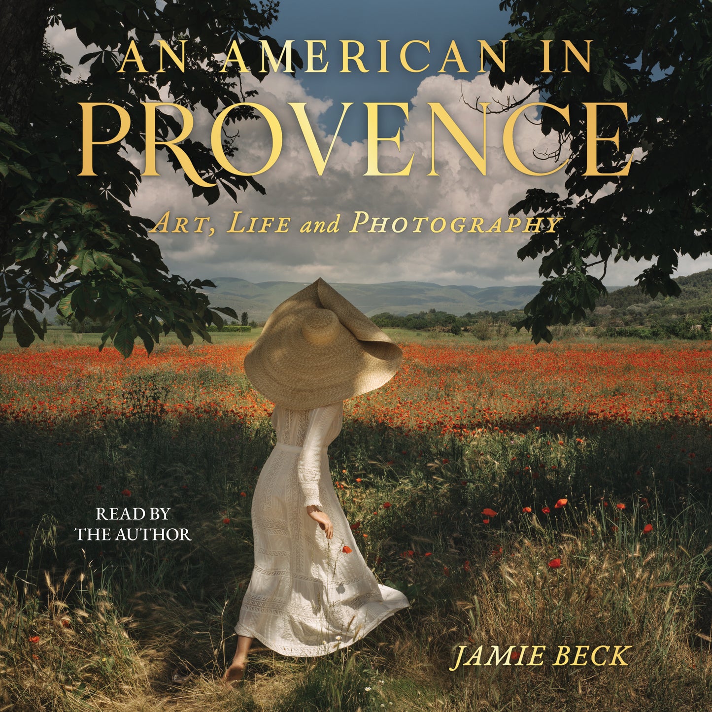 American in Provence: Art, Life and Photography