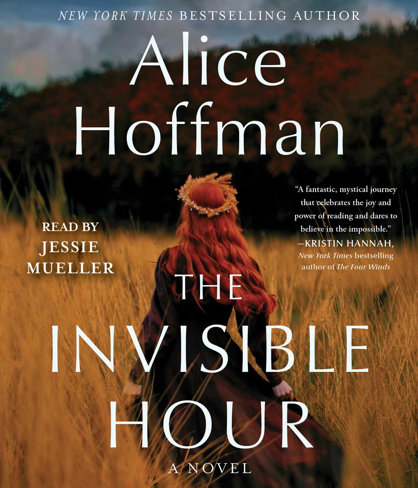 Invisible Hour: A Novel