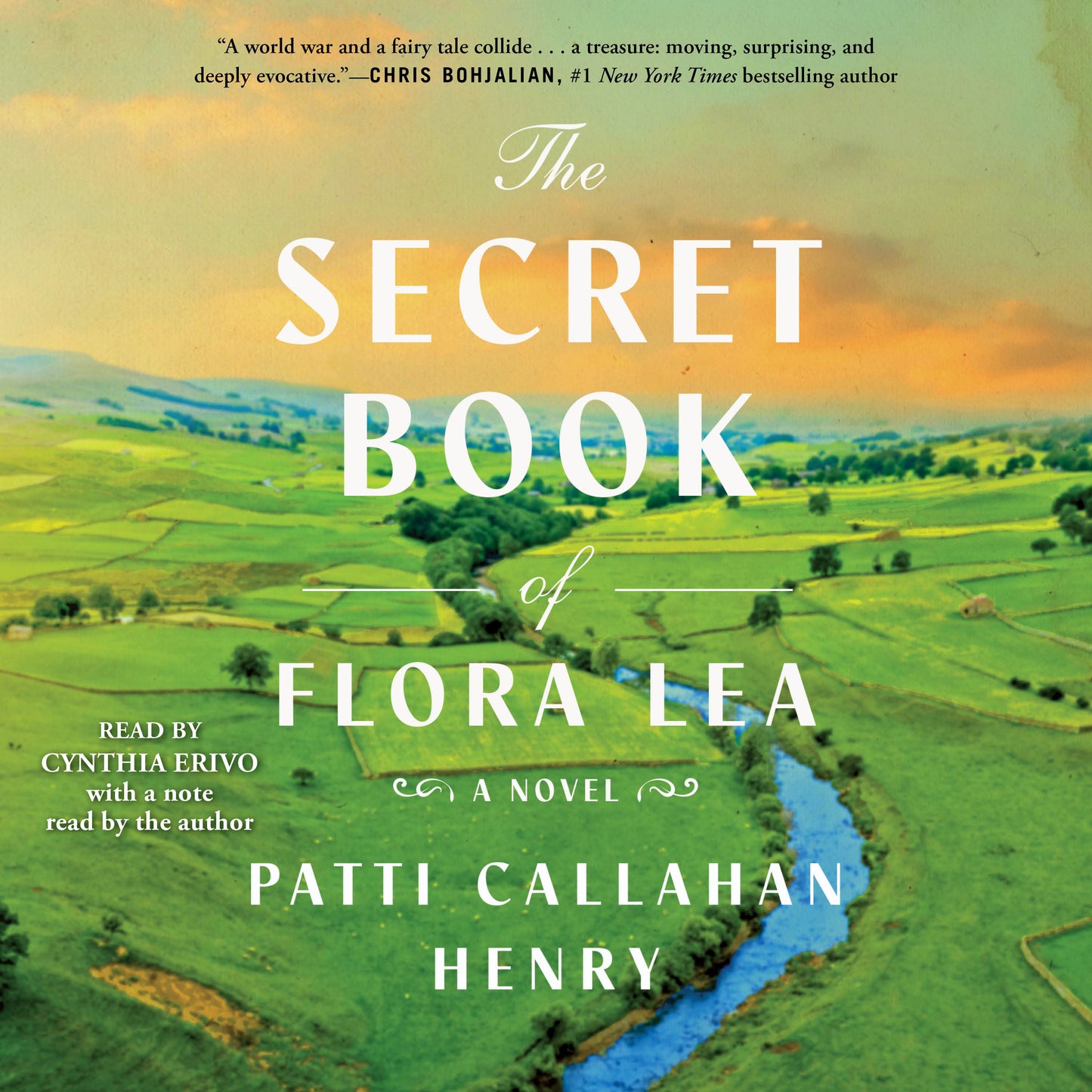 Secret Book of Flora Lea: A Novel