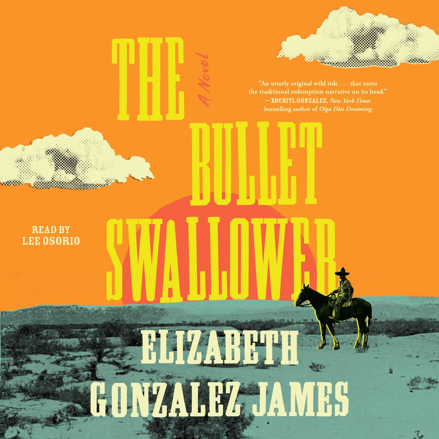 Bullet Swallower: A Novel