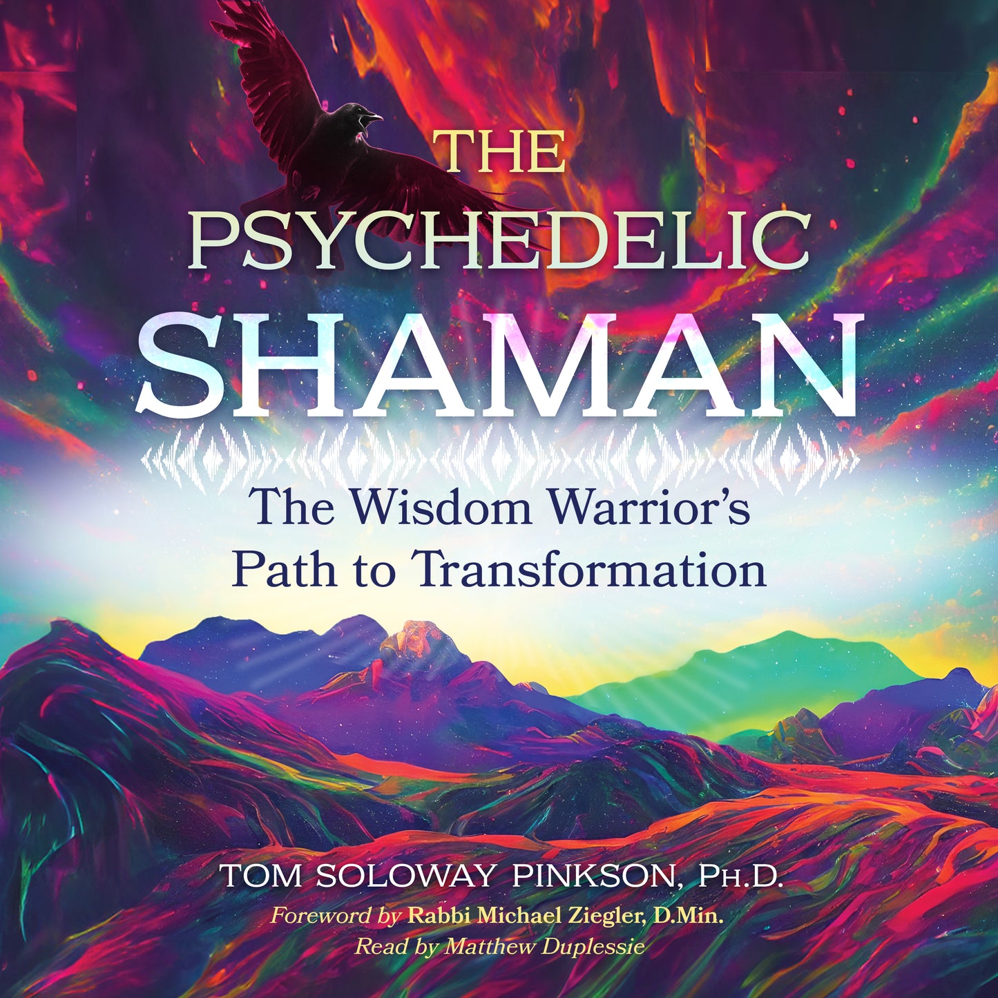 Psychedelic Shaman: The Wisdom Warrior's Path to Transformation