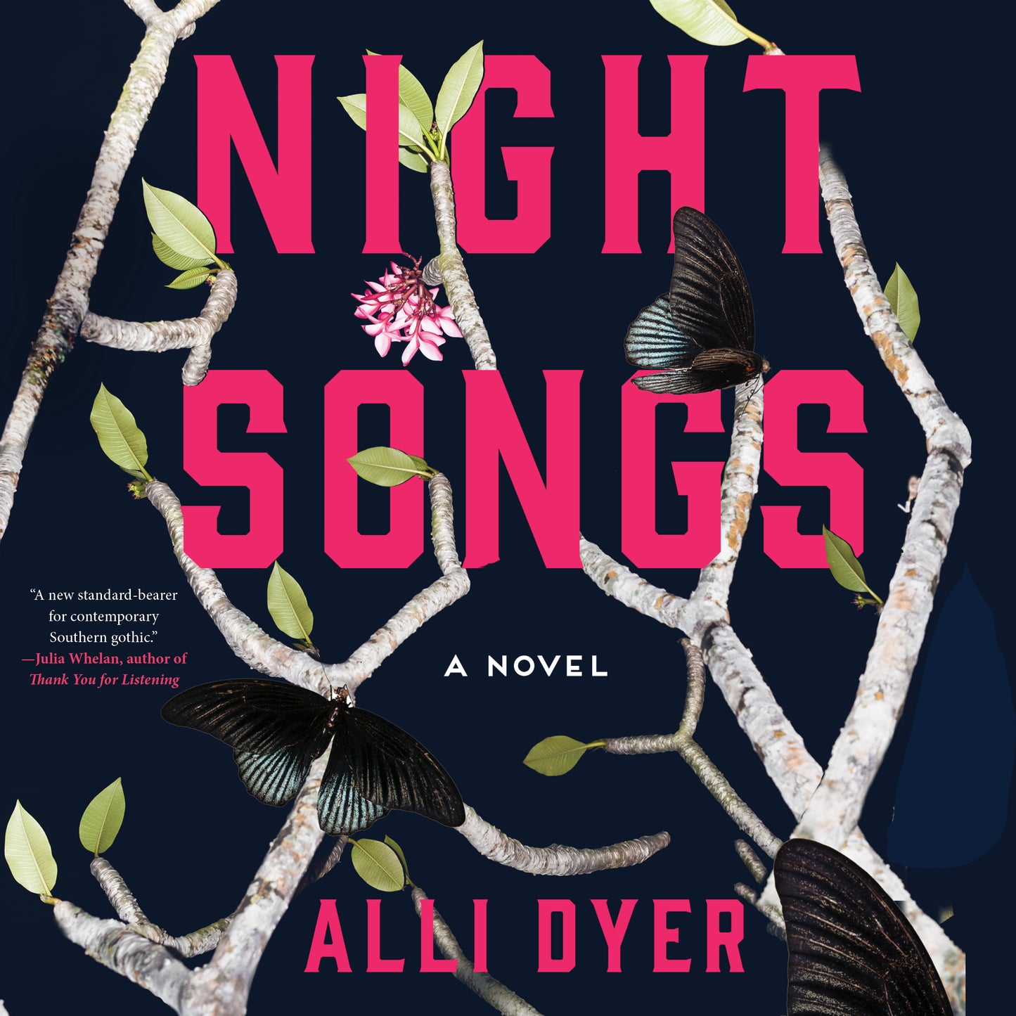 Night Songs