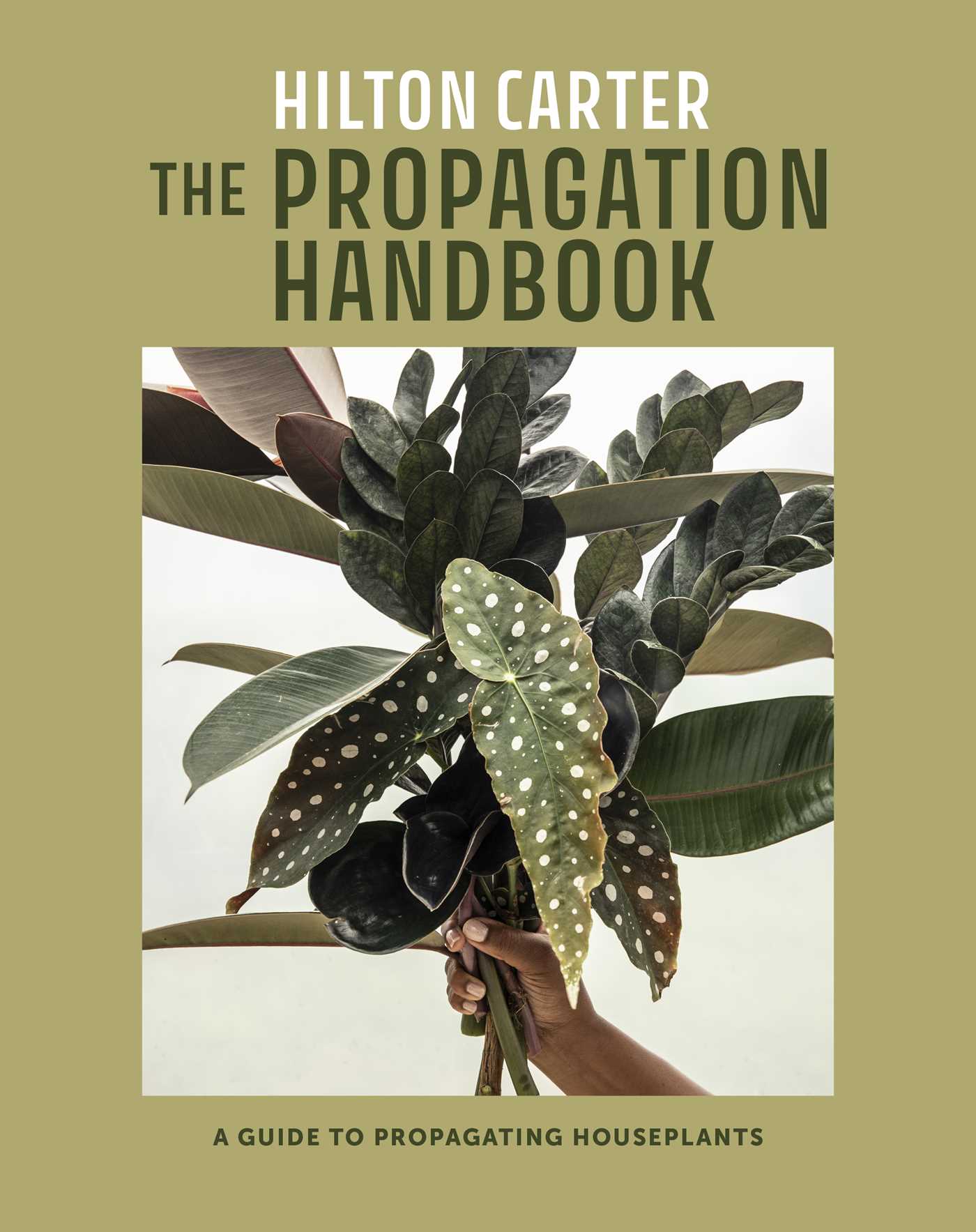 Propagation Handbook: A guide to propagating houseplants
