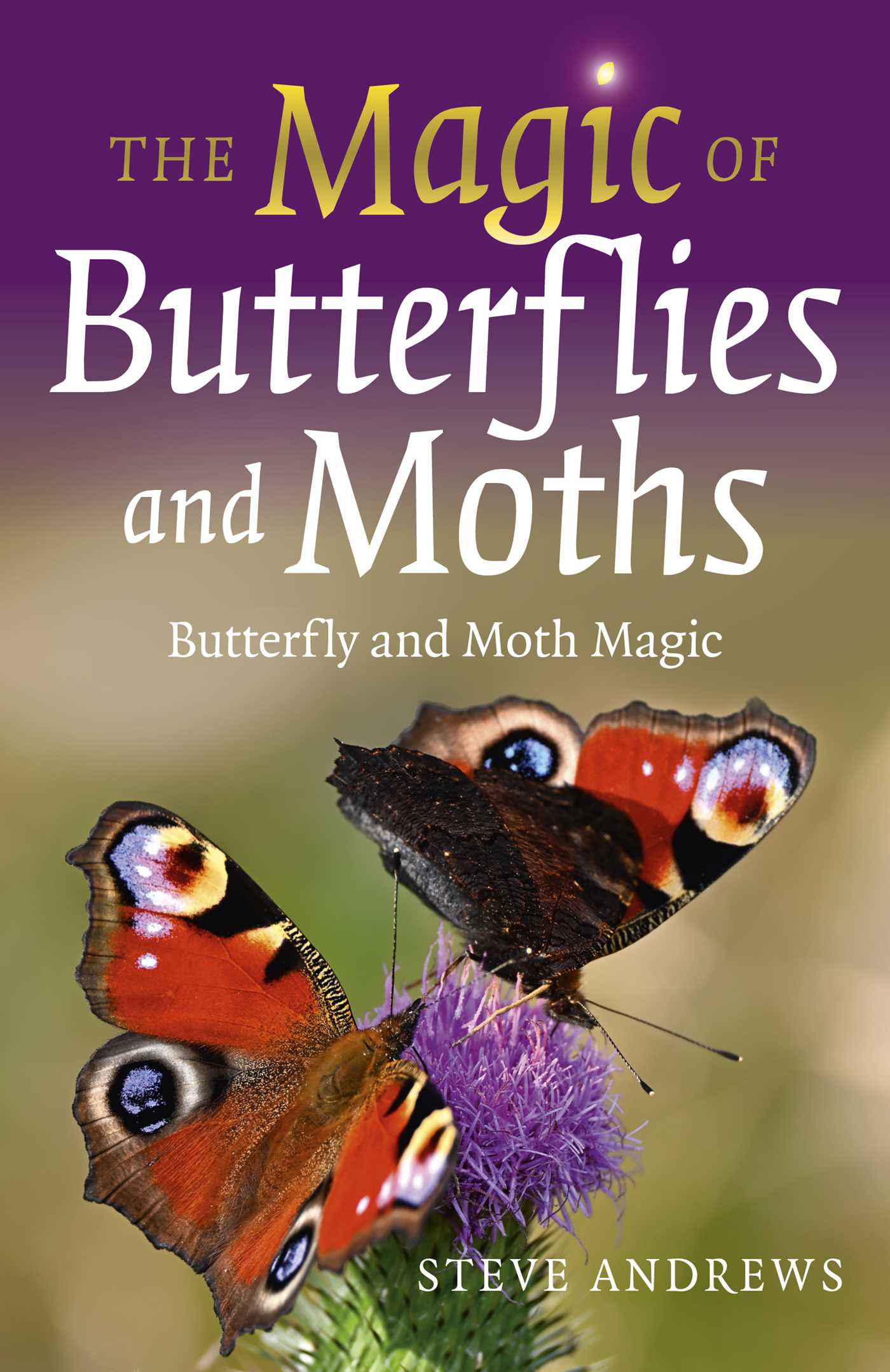 Magic of Butterflies and Moths: Butterfly and Moth Magic