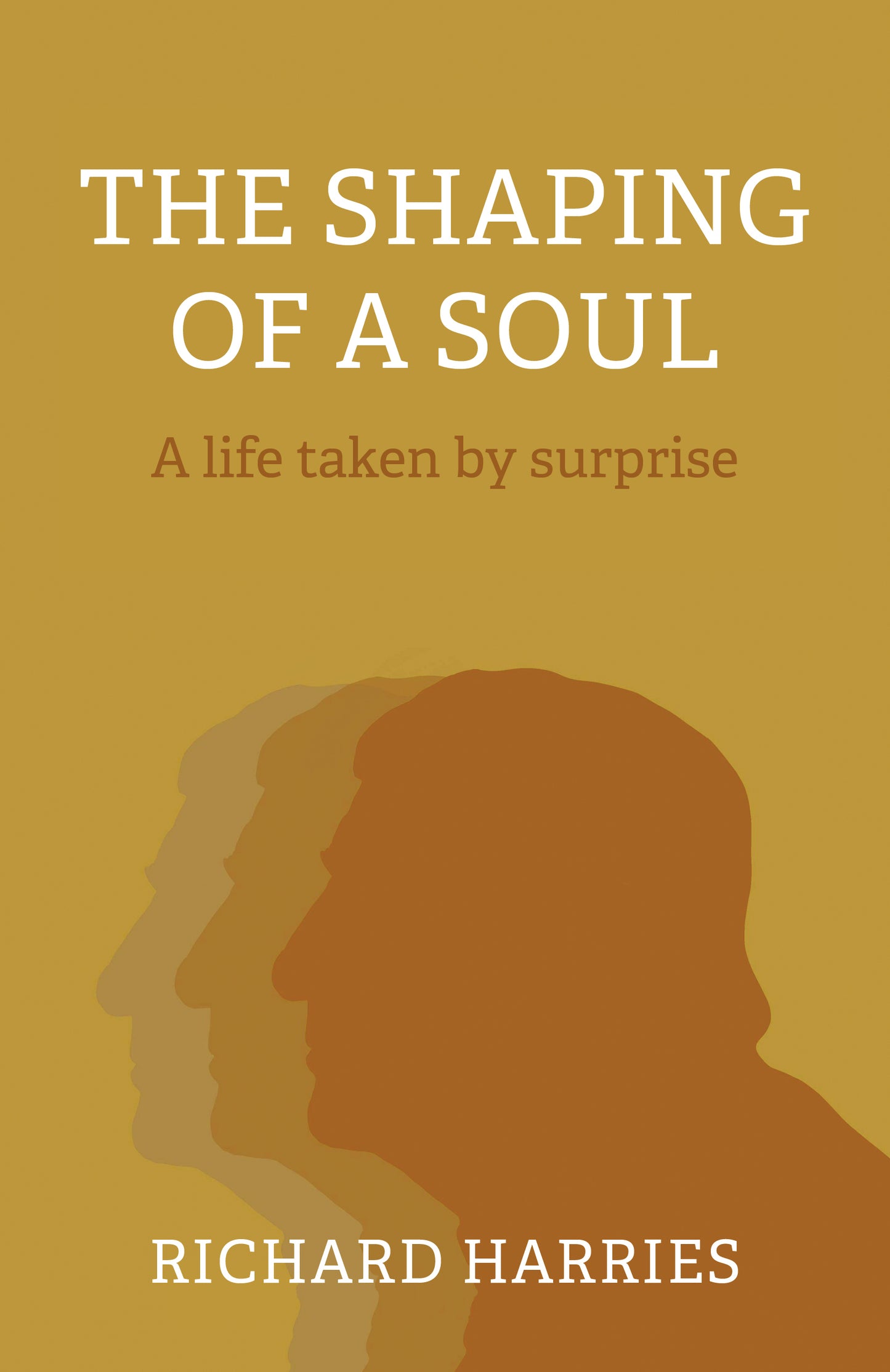 Shaping of a Soul: A Life Taken by Surprise