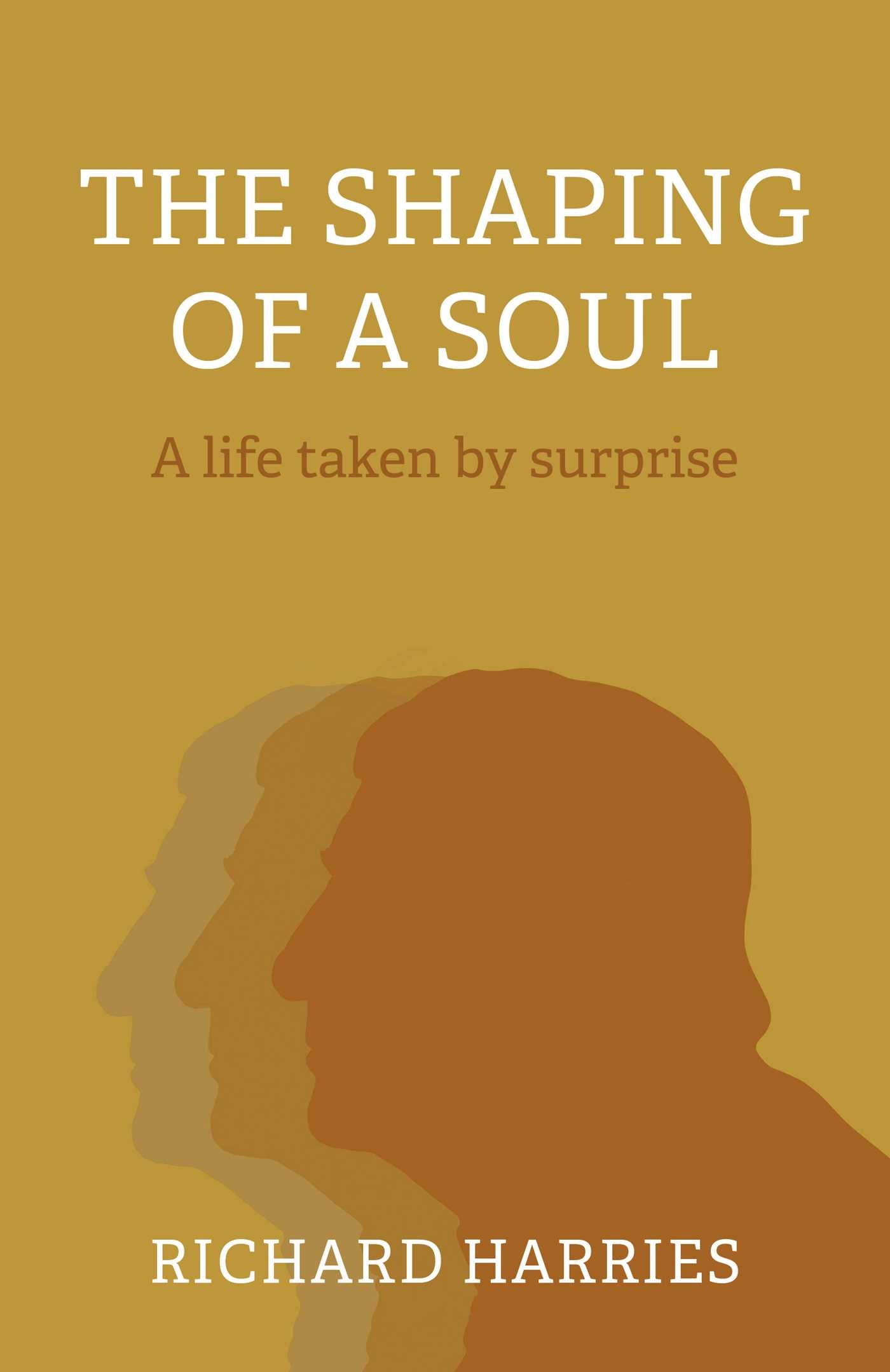 Shaping of a Soul: A Life Taken by Surprise