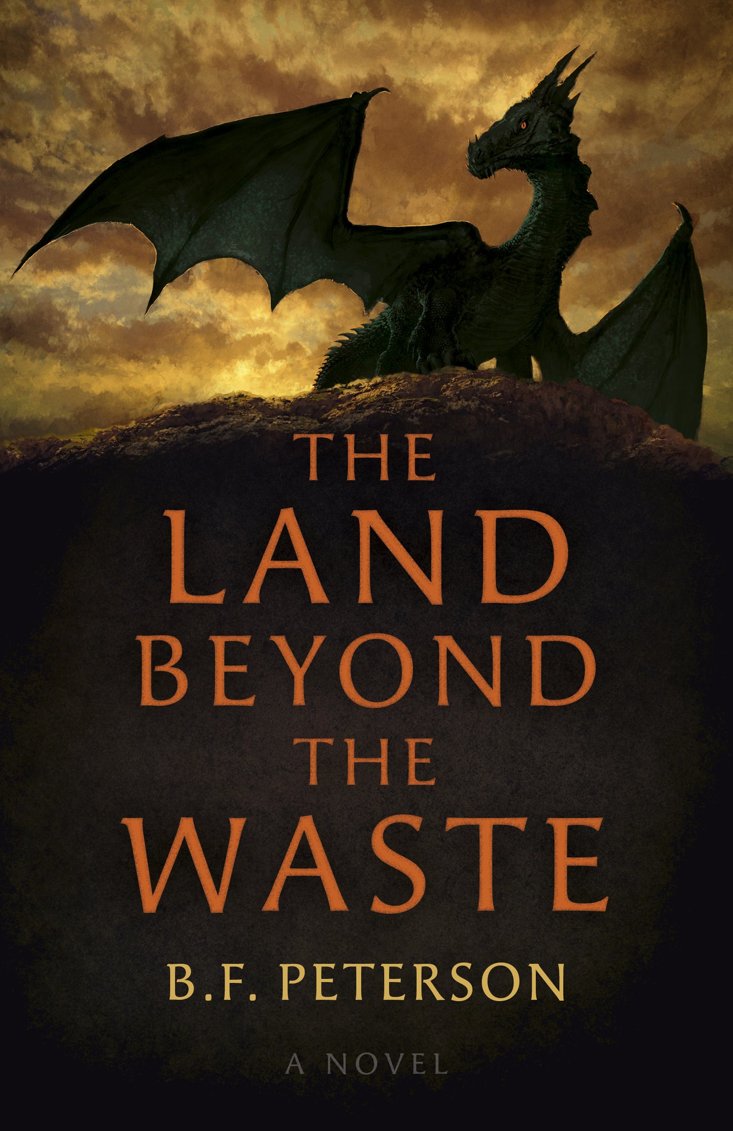 Land Beyond the Waste: A Novel