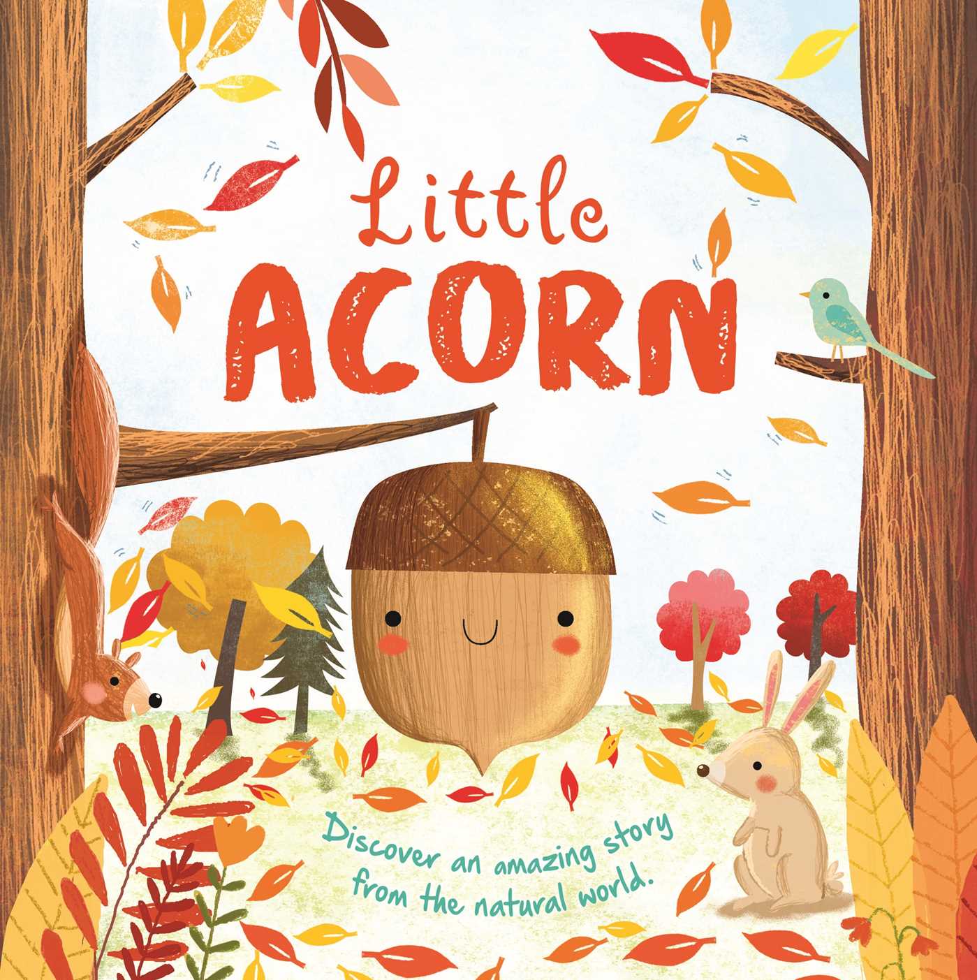 Nature Stories: Little Acorn-Discover an Amazing Story from the Natural World
