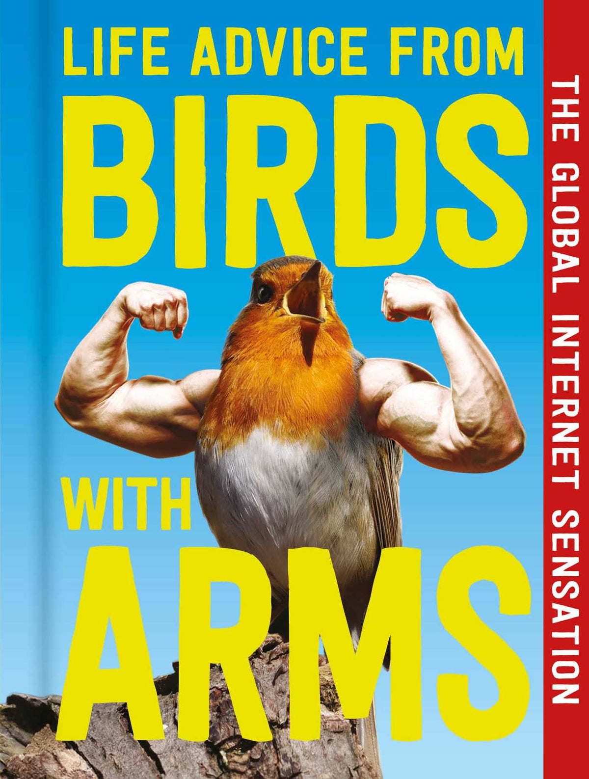 Life Advice from Birds with Arms