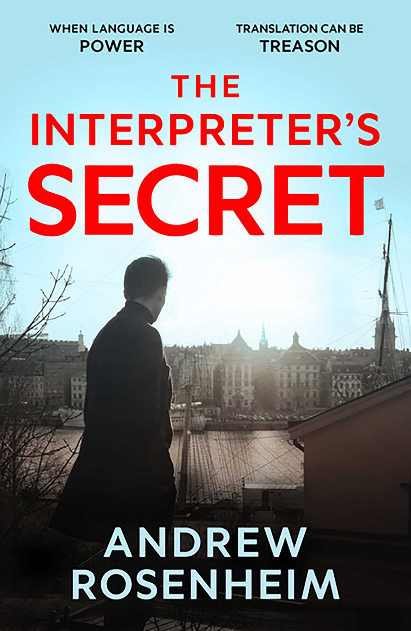 Interpreter's Secret: A sophisticated thriller of East vs West, secret summits and the peril of knowing too much