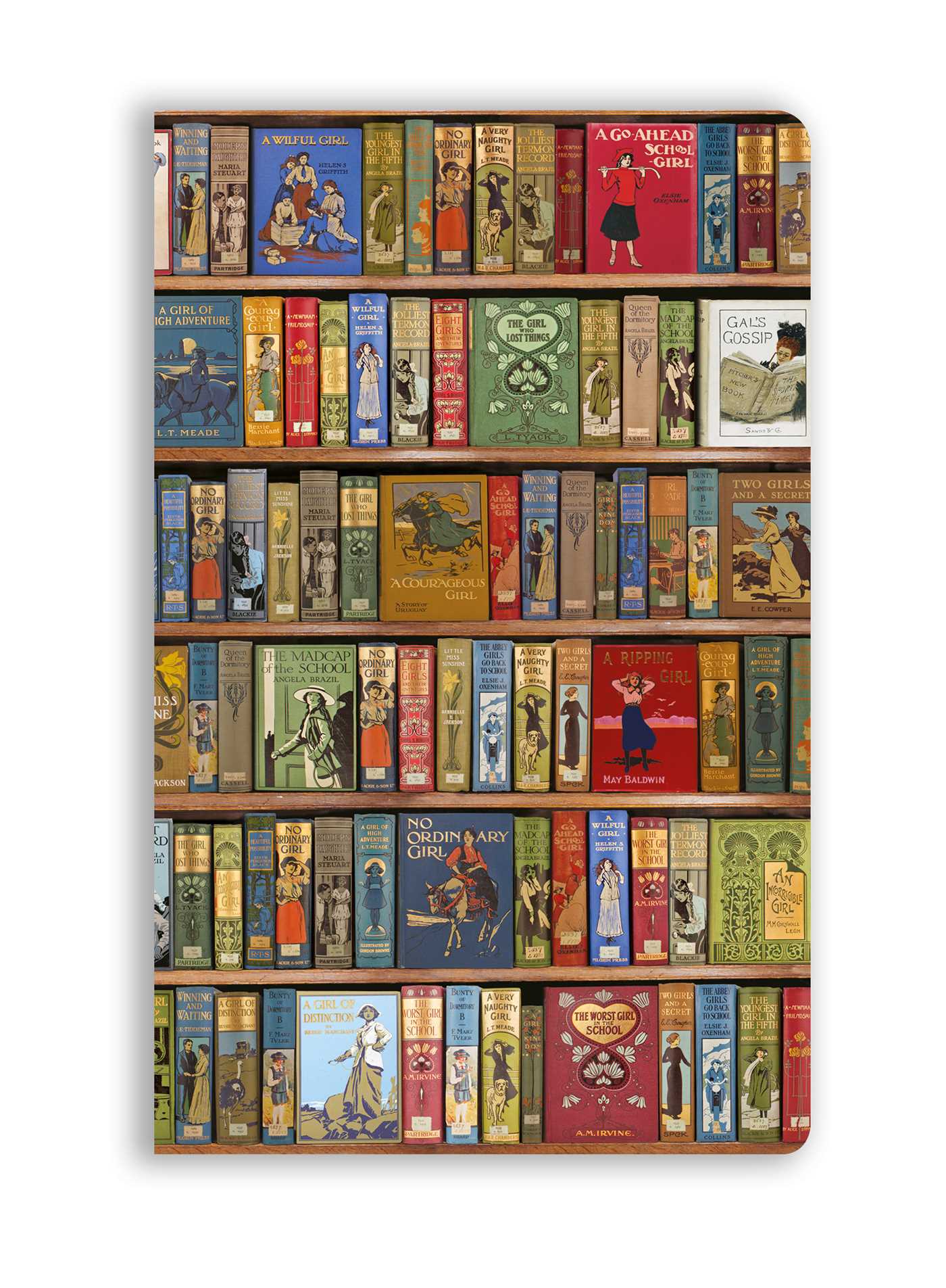 Bodleian Libraries: High Jinks Vintage Bookshelves (Soft Touch Journal)