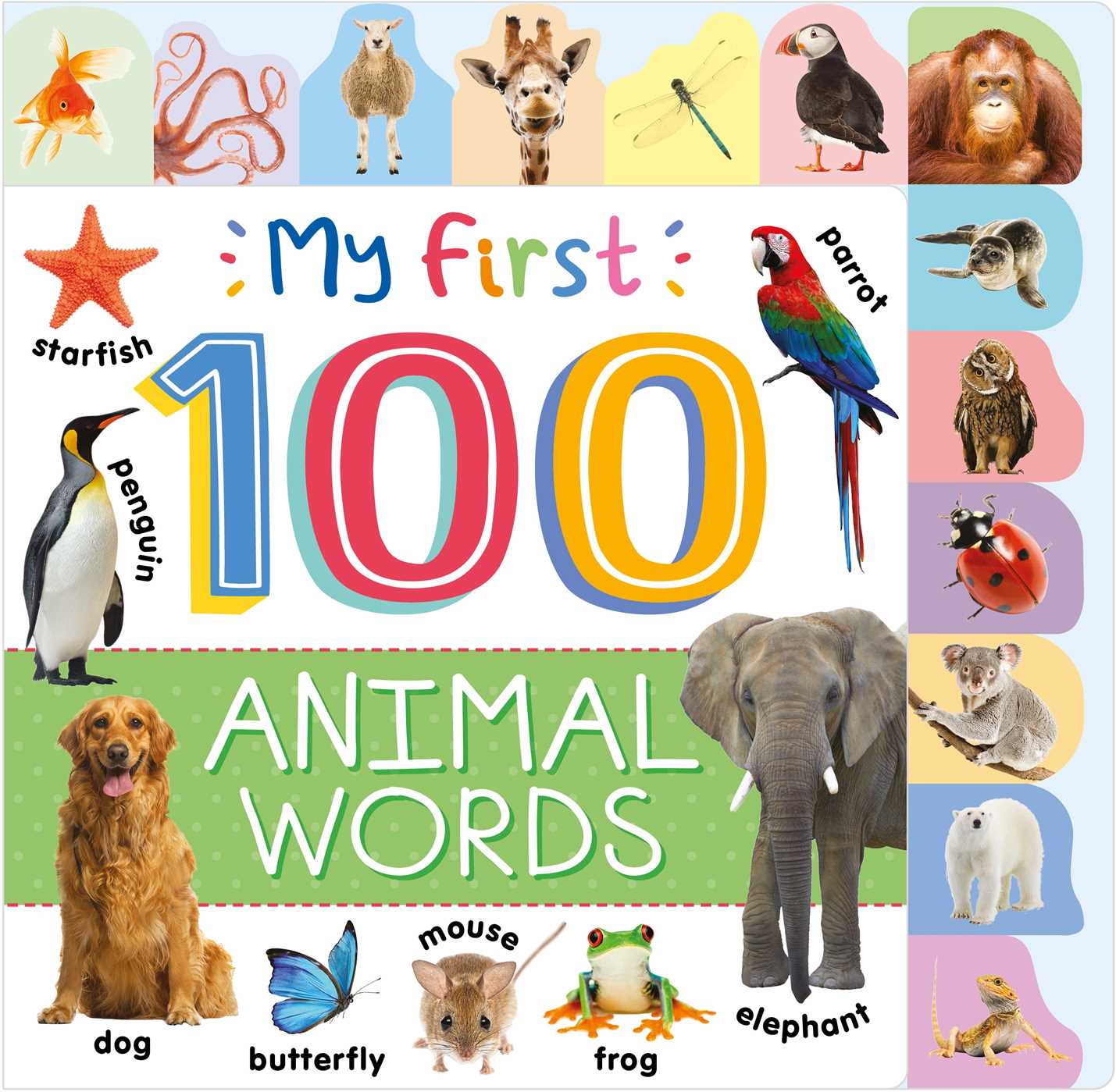 First 100 Animal Words: Photographic First Picture Dictionary with Tabbed Pages