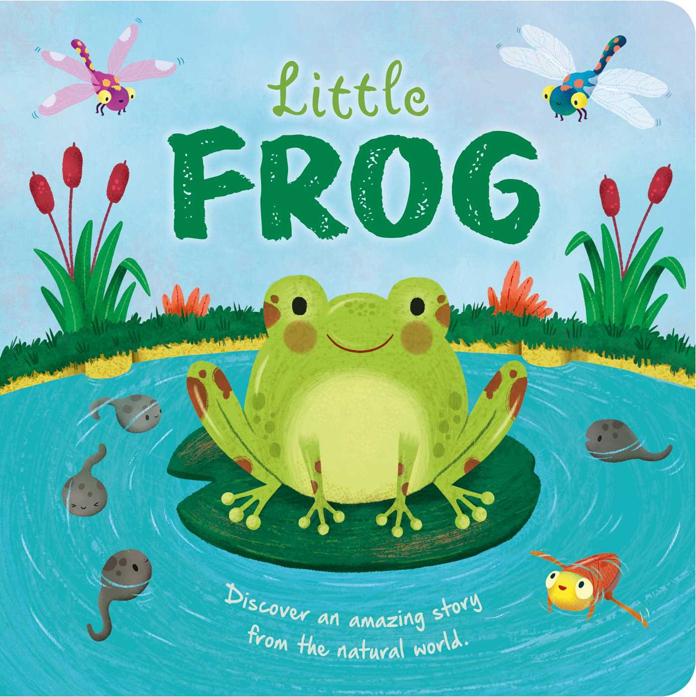 Nature Stories: Little Frog-Discover an Amazing Story from the Natural World