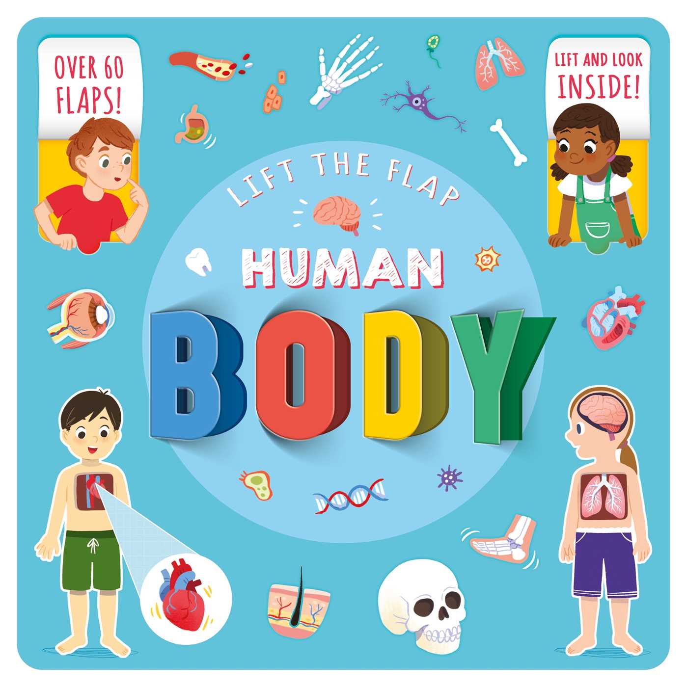 Lift The Flap Human Body