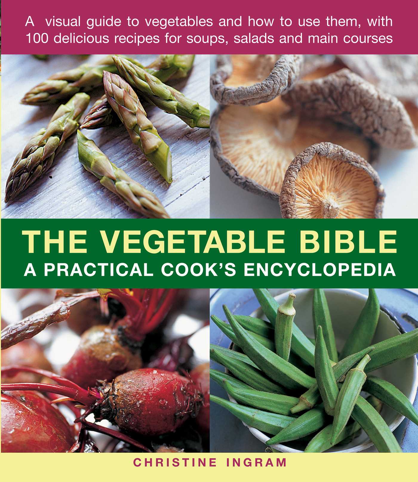 Vegetable Bible: A Practical Cook's Encyclopedia; A Visual Guide to Vegetables and How to Use Them, With 100 Delicious Recipes for Soups, Salads and Main Courses