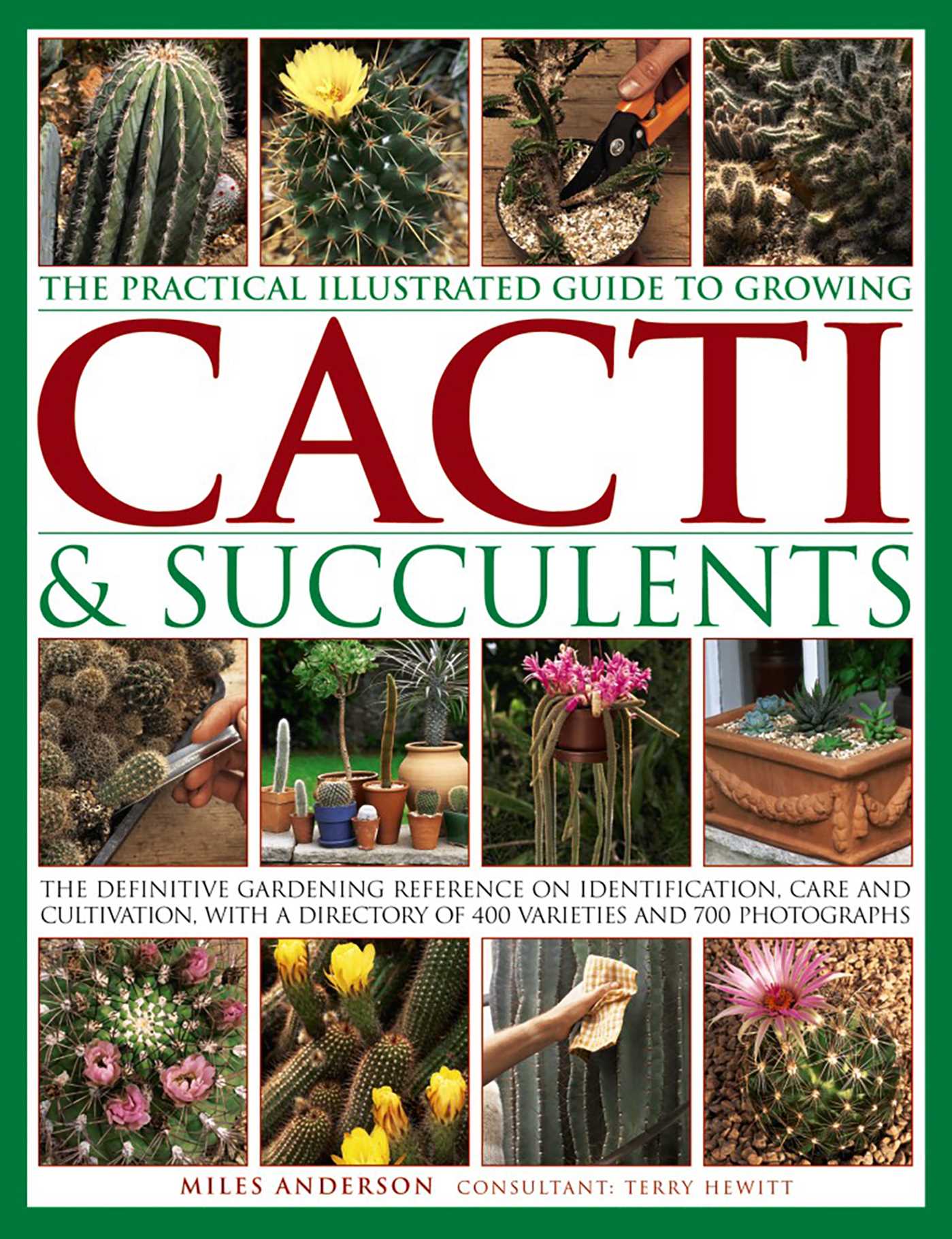 Practical Illustrated Guide to Growing Cacti & Succulents: The Definitive Gardening Reference On Identification, Care And Cultivation, With A Directory Of 400 Varieties And 700 Photographs