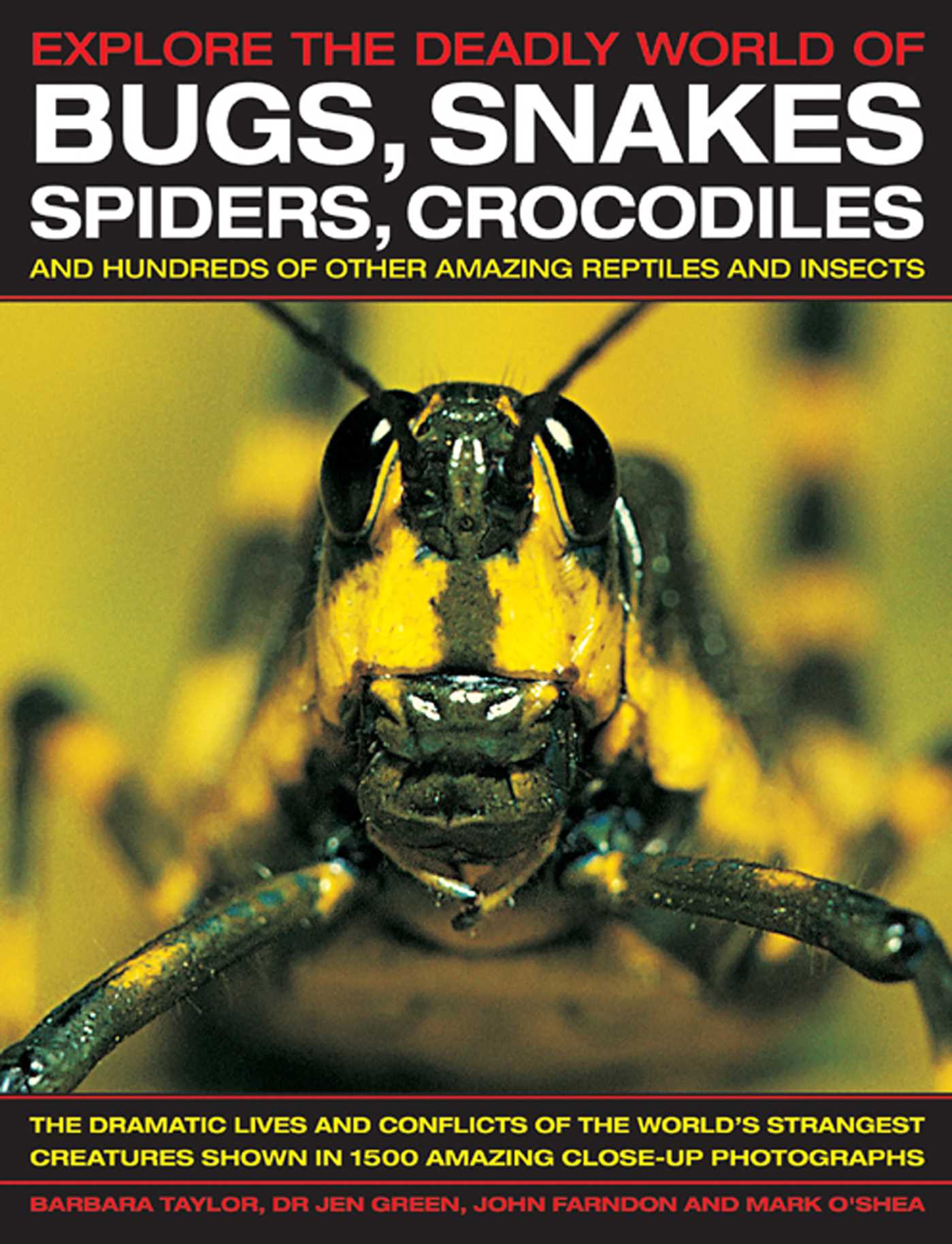 Explore The Deadly World of Bugs, Snakes, Spiders, Crocodiles